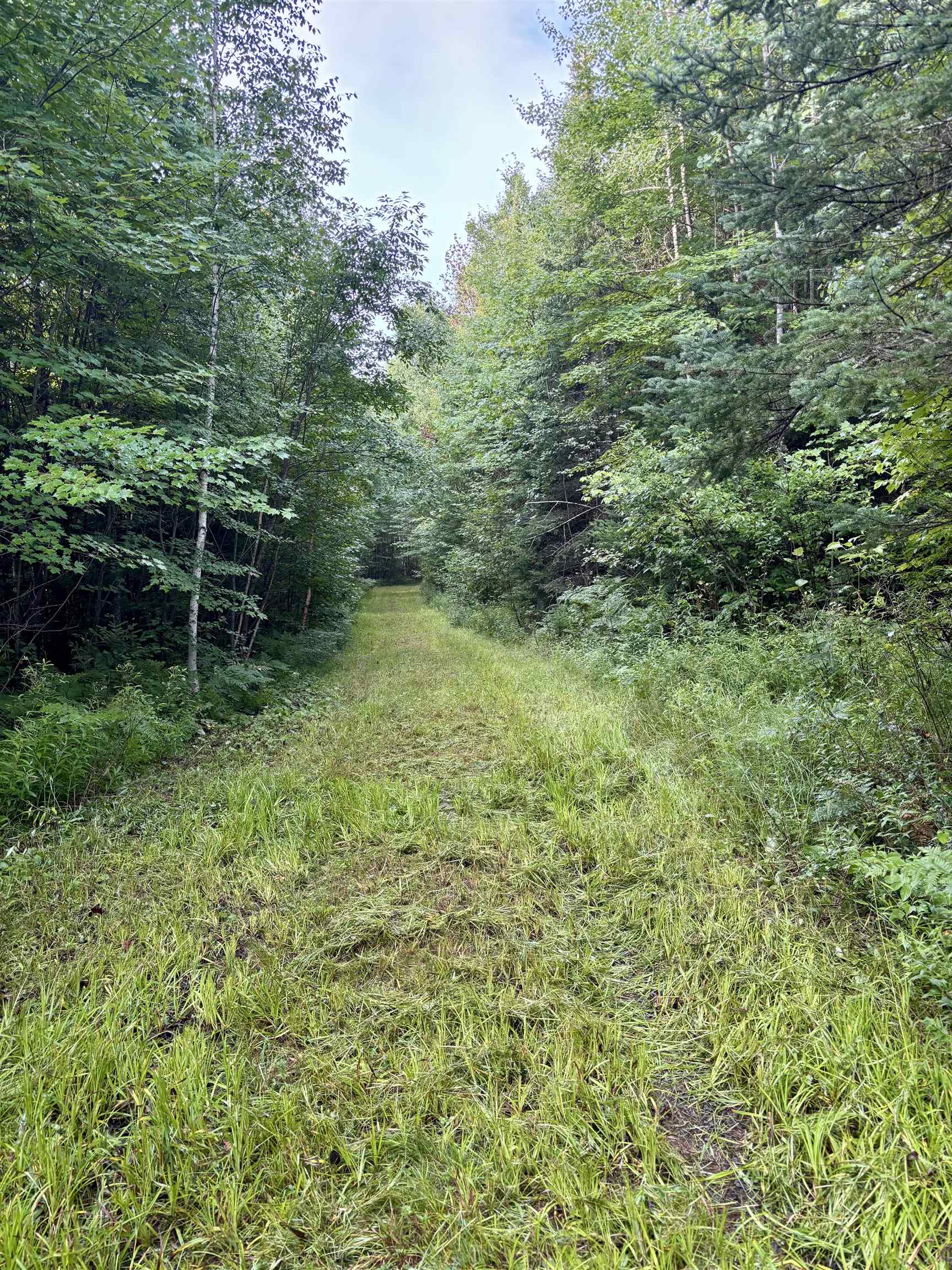 80 Acres Clausen Road Property Photo 5
