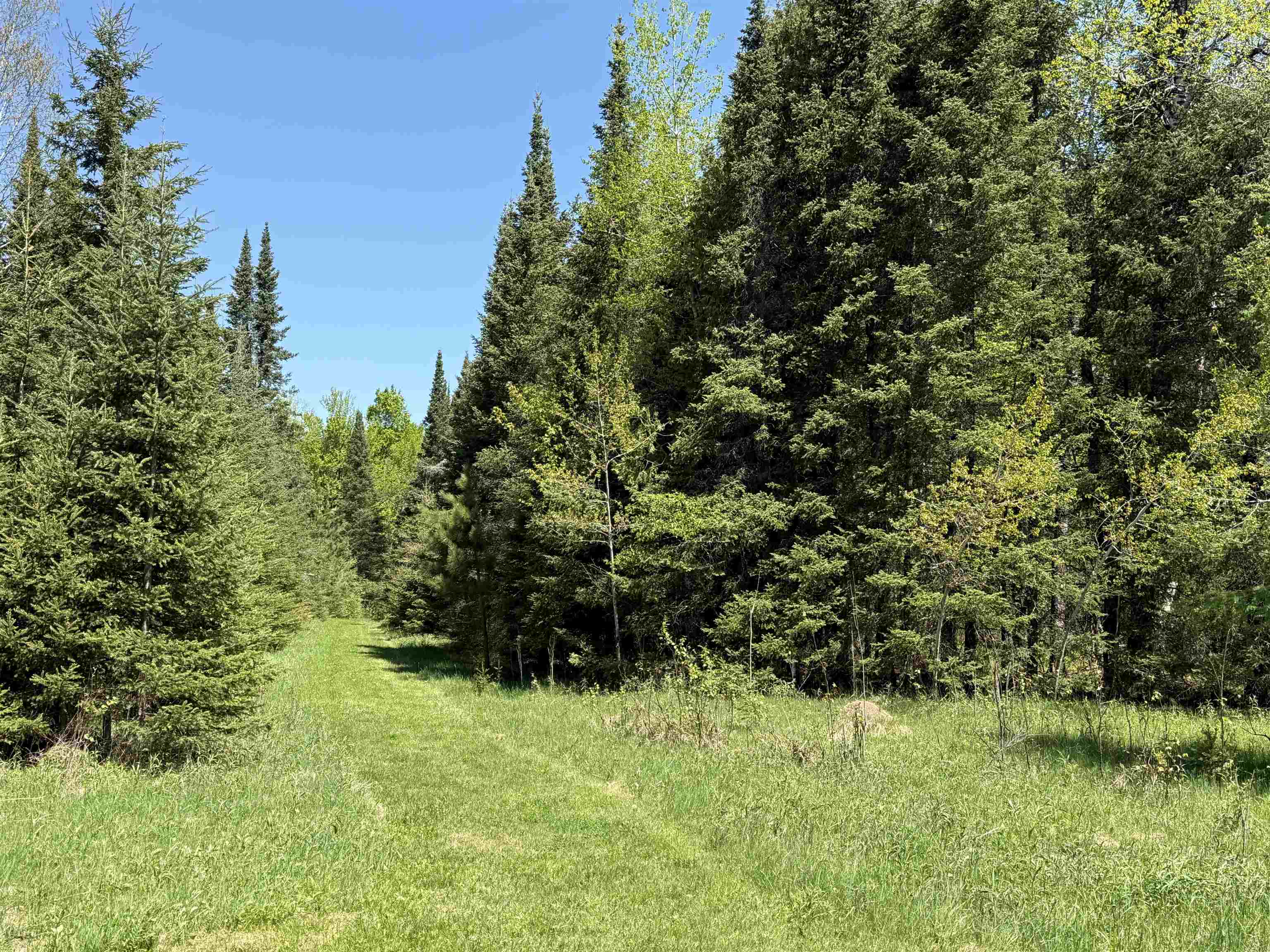 16340 N State Highway 13 Property Photo 37