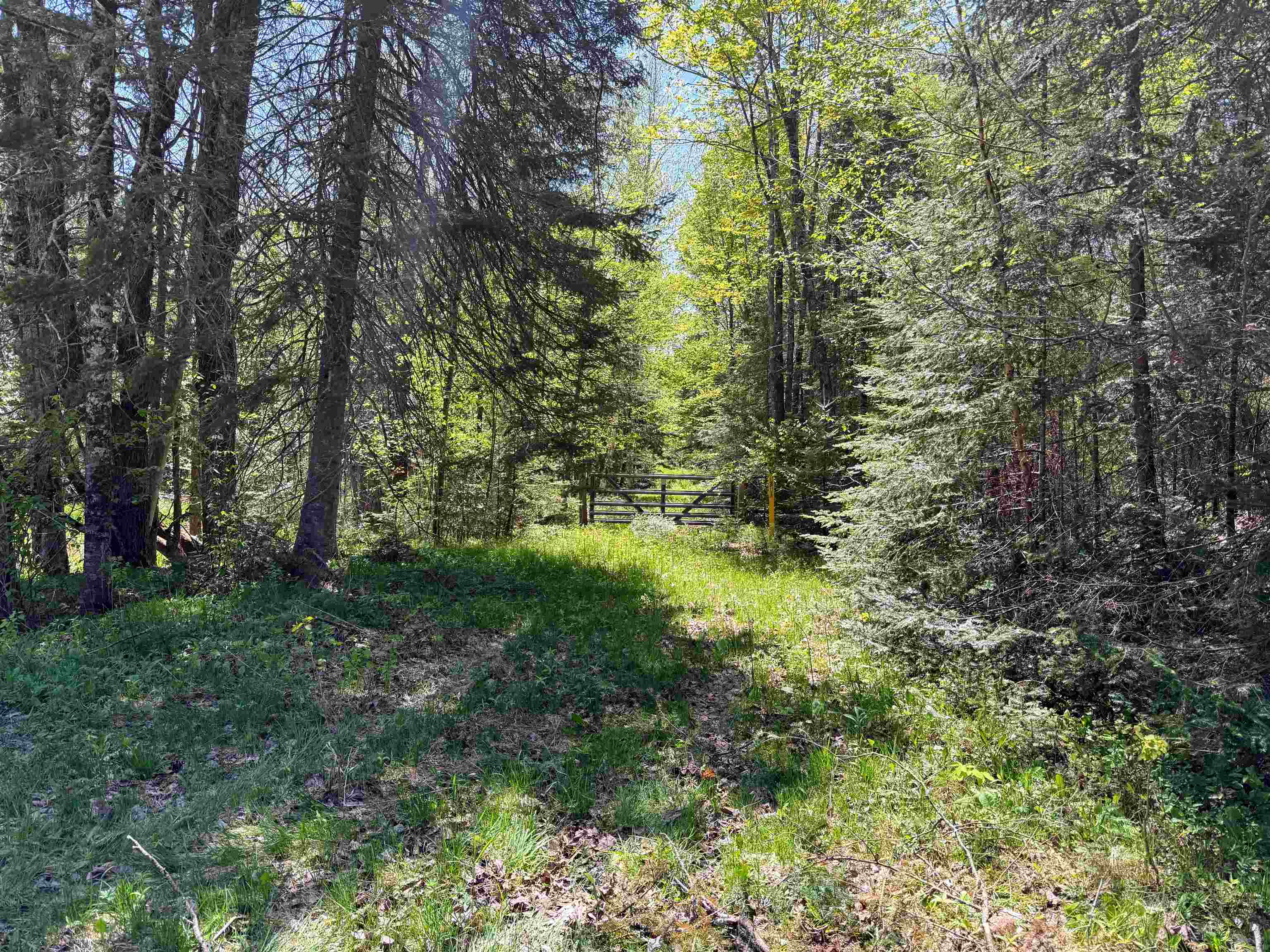 16340 N State Highway 13 Property Photo 45
