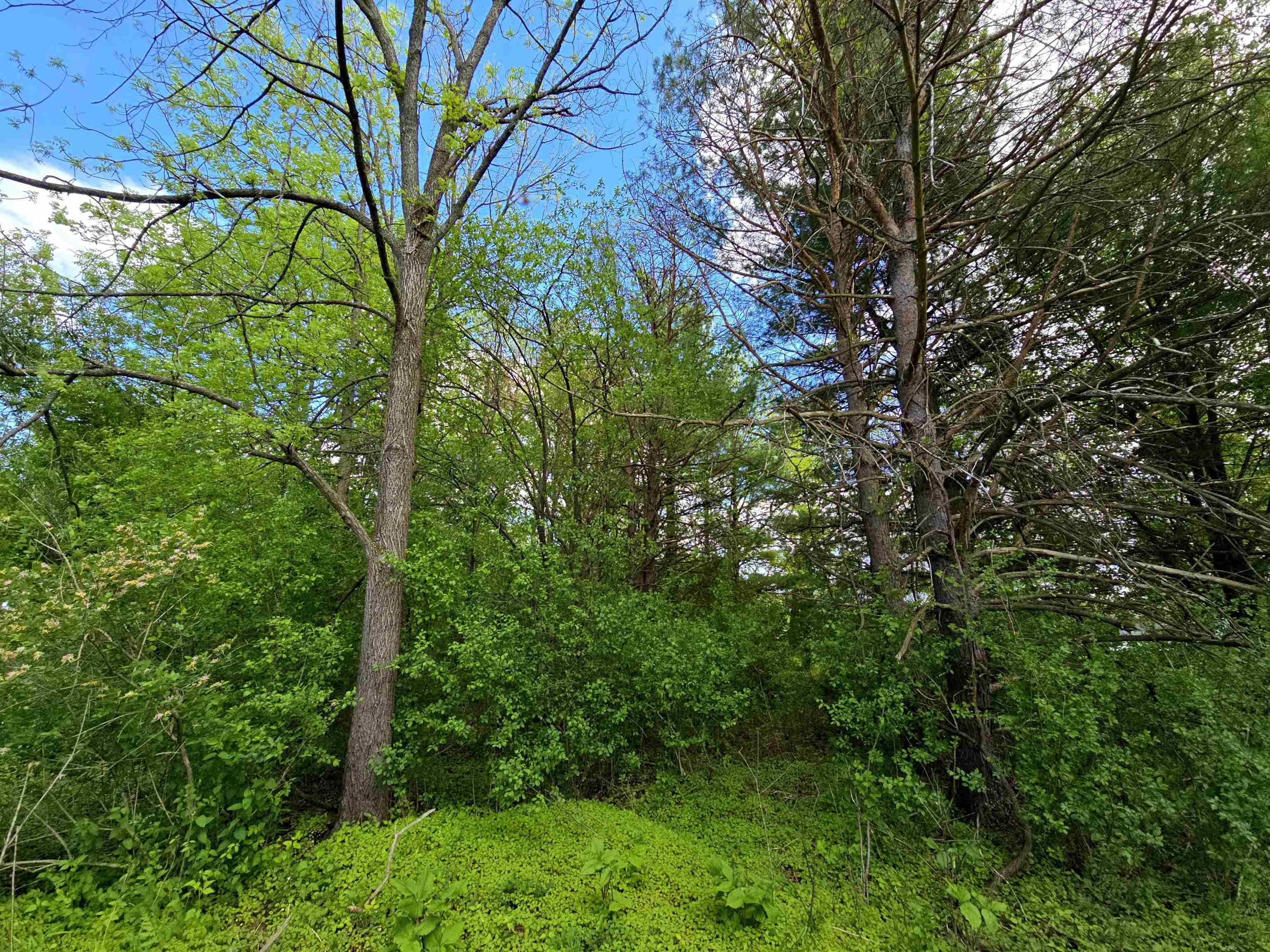 4918 Meadow Lane Property Photo 22