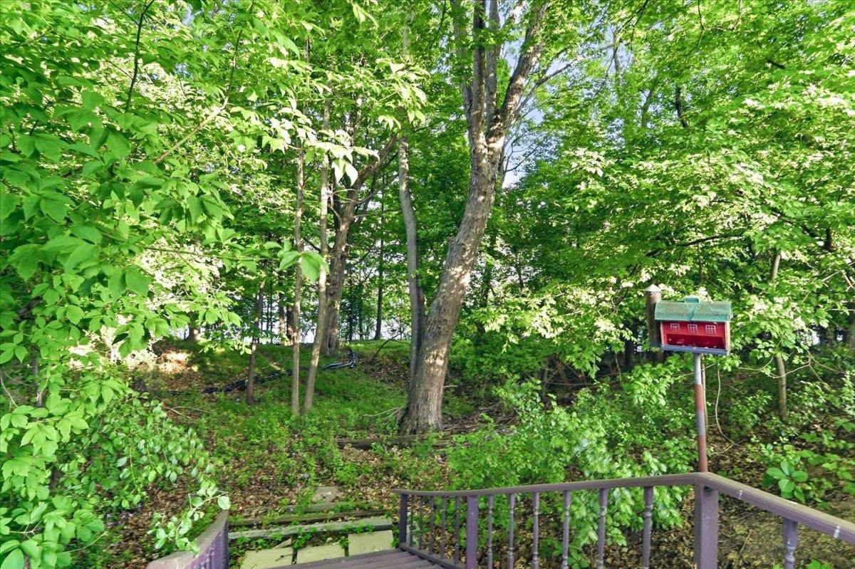 206 Buchanan Street Property Photo 11