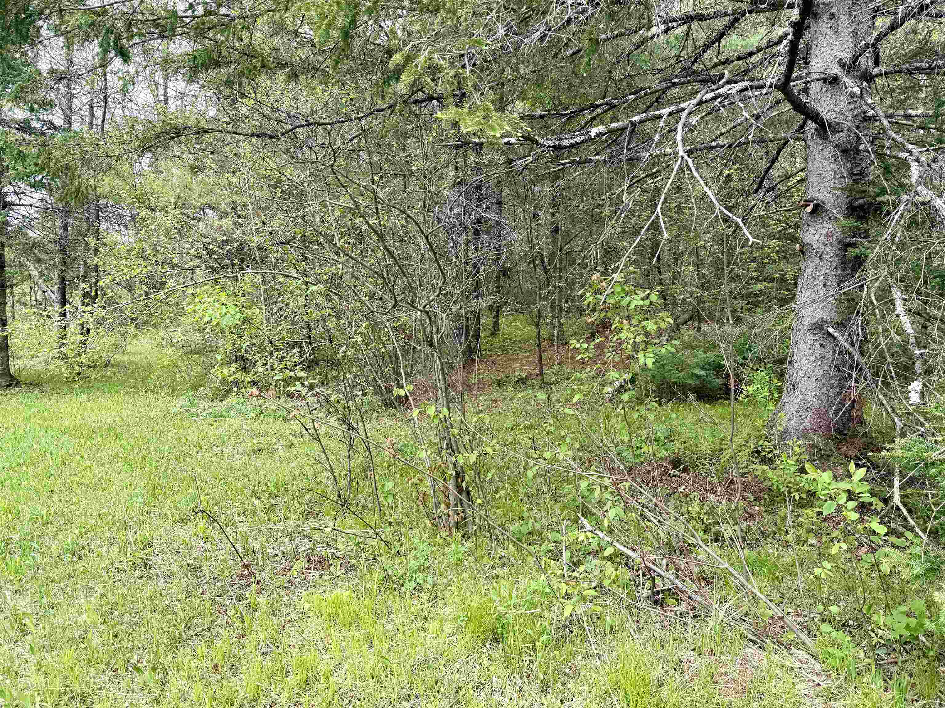 000 Garvin Place Property Photo 8