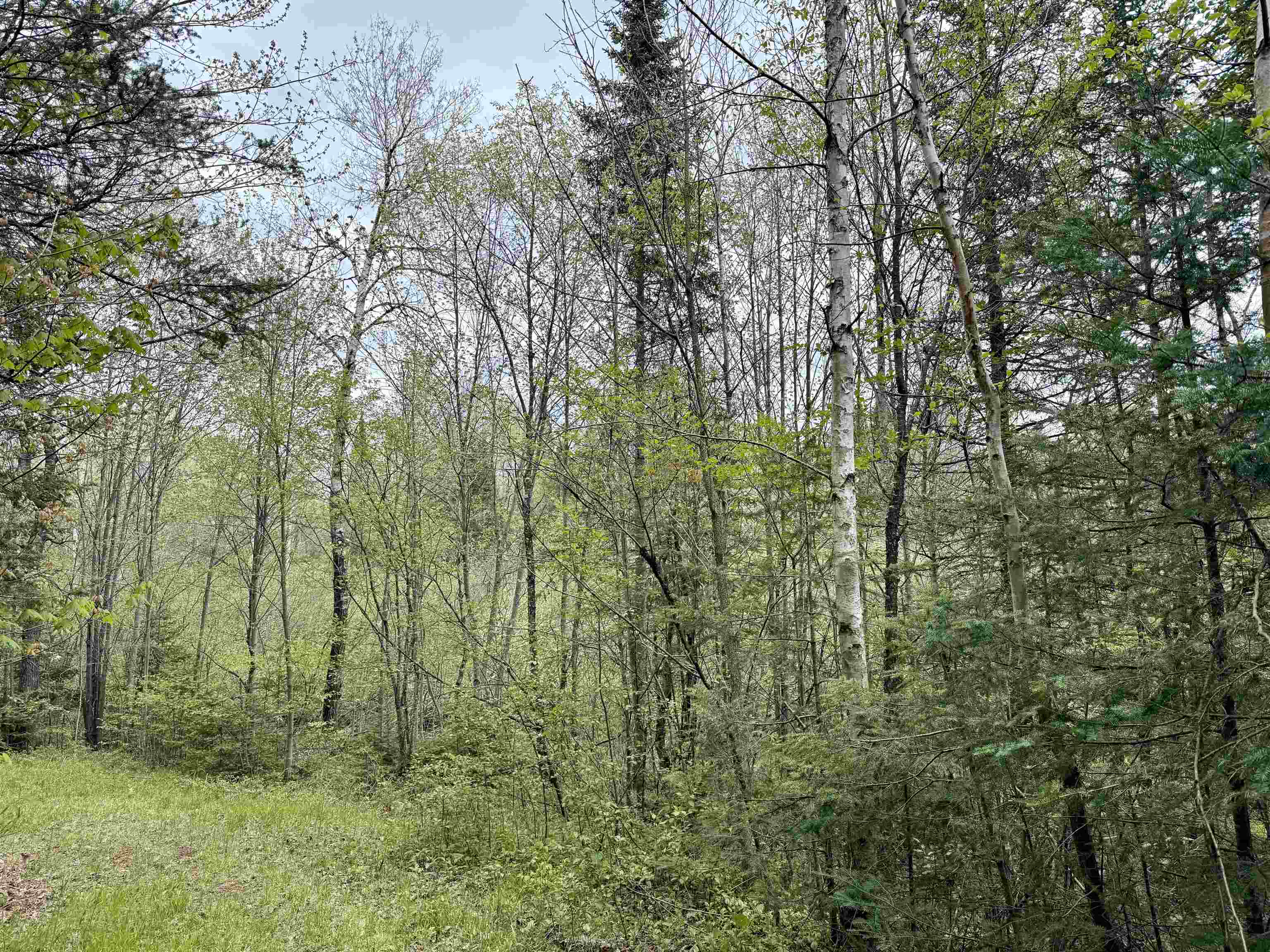 000 Garvin Place Property Photo 11