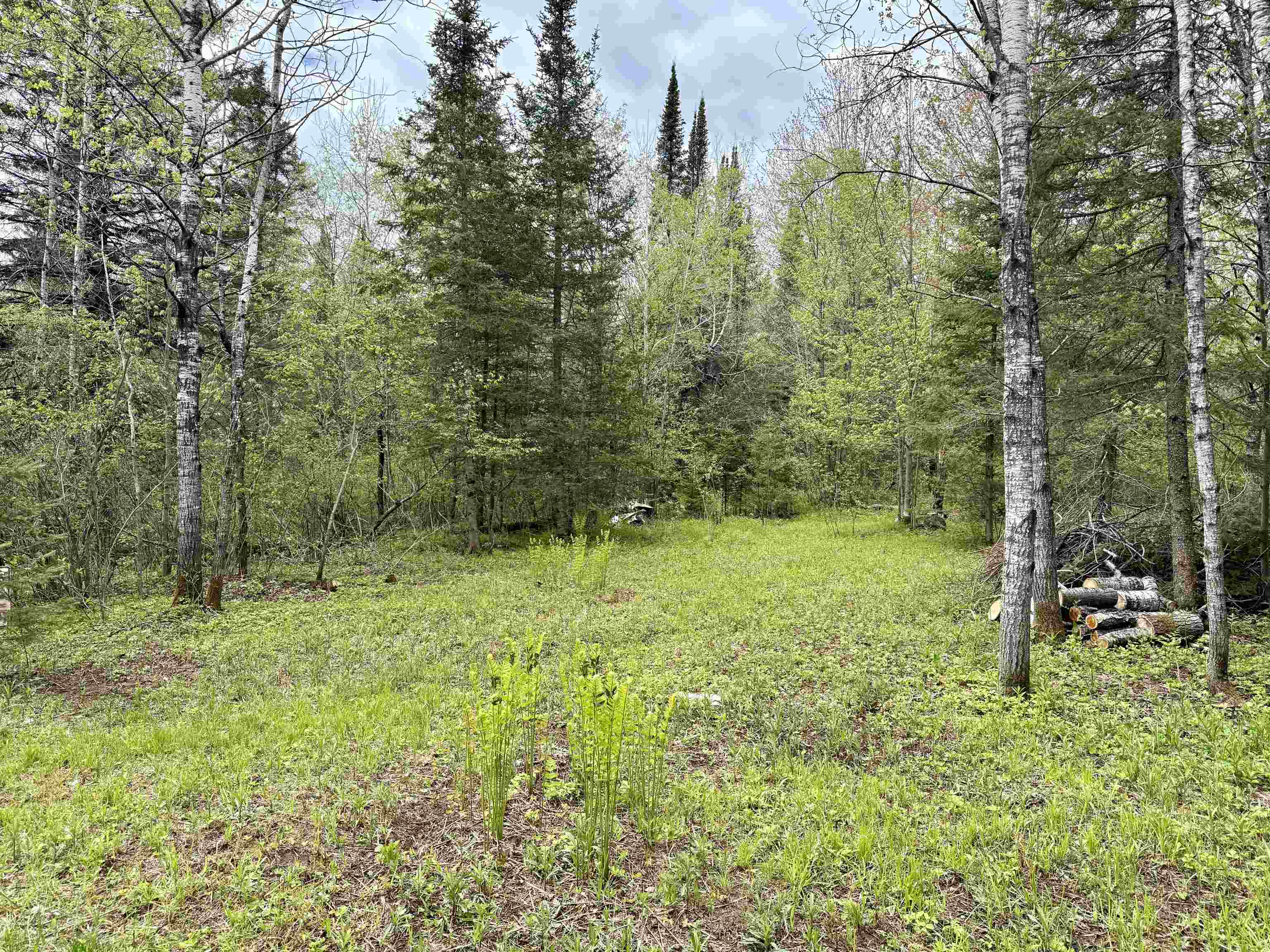 000 Garvin Place Property Photo 16