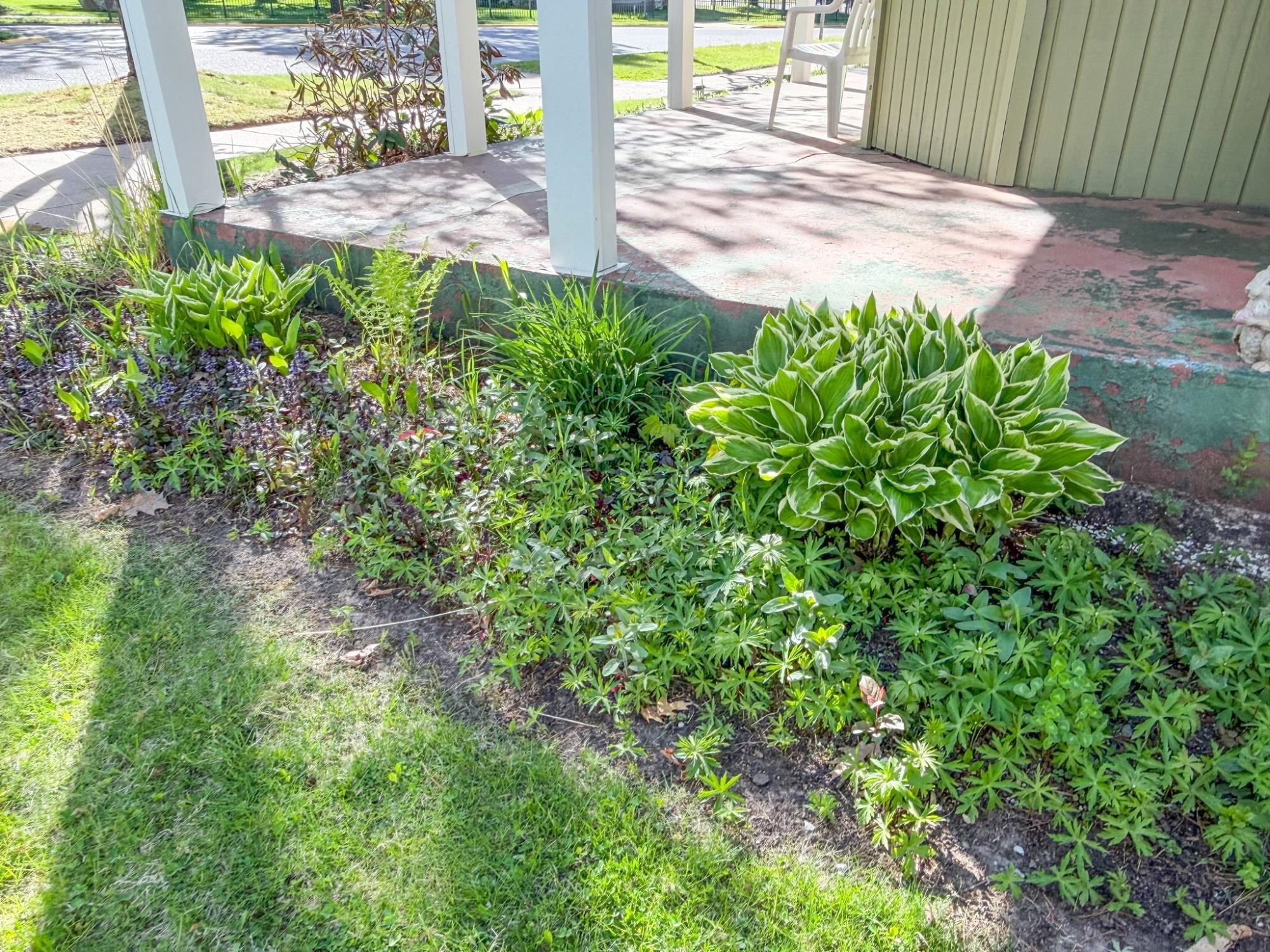 355 N Avon Avenue Property Photo 58