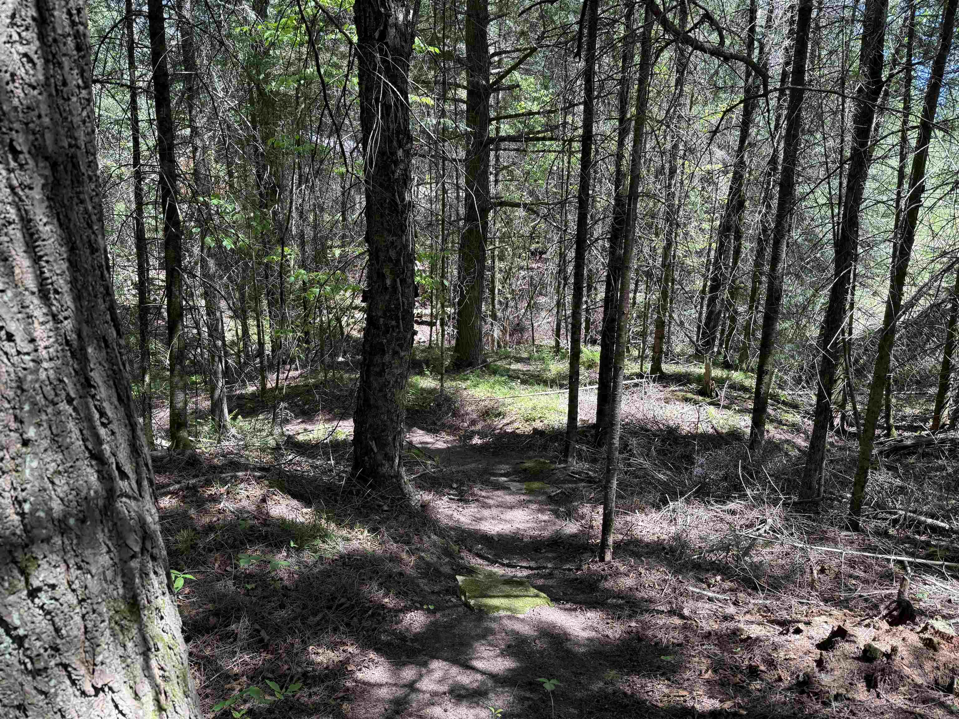 W9714 State Highway 70 Property Photo 12
