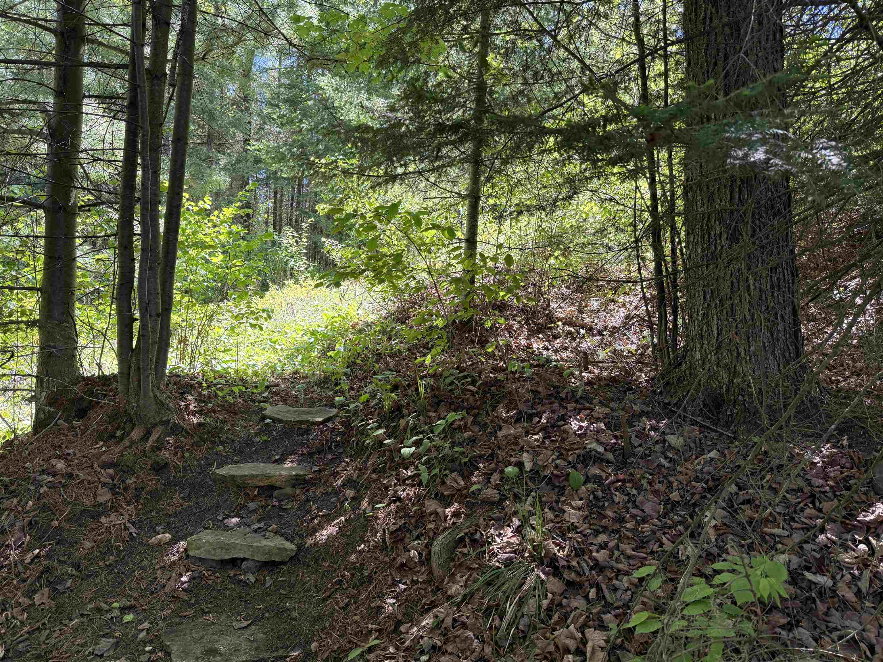 W9714 State Highway 70 Property Photo 13
