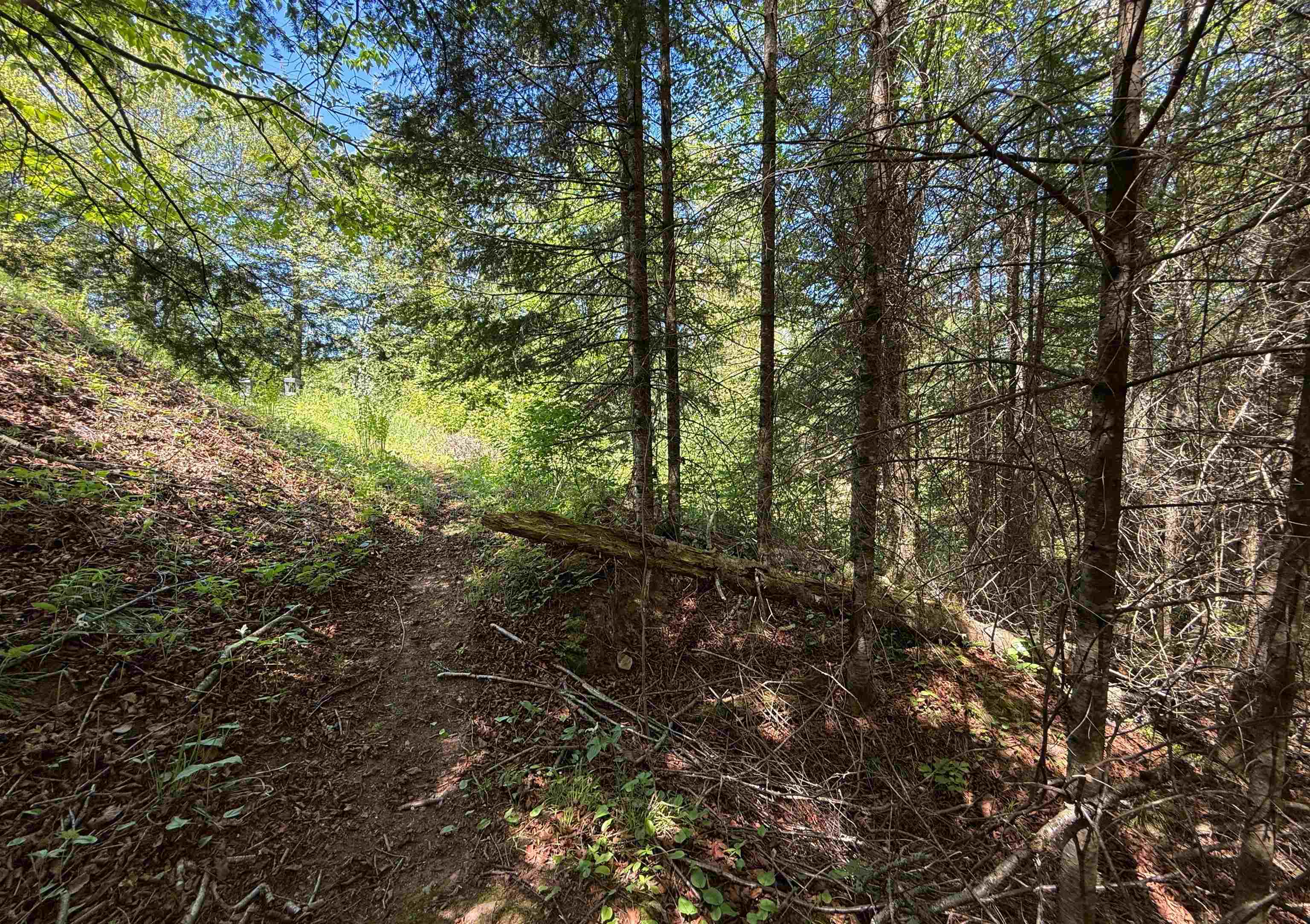 W9714 State Highway 70 Property Photo 38