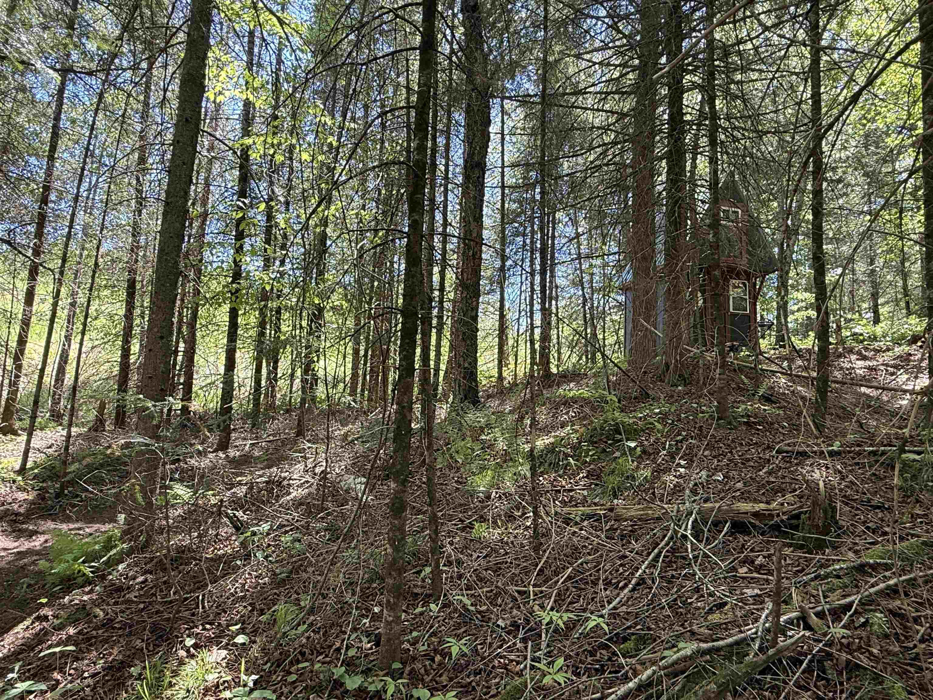 W9714 State Highway 70 Property Photo 39