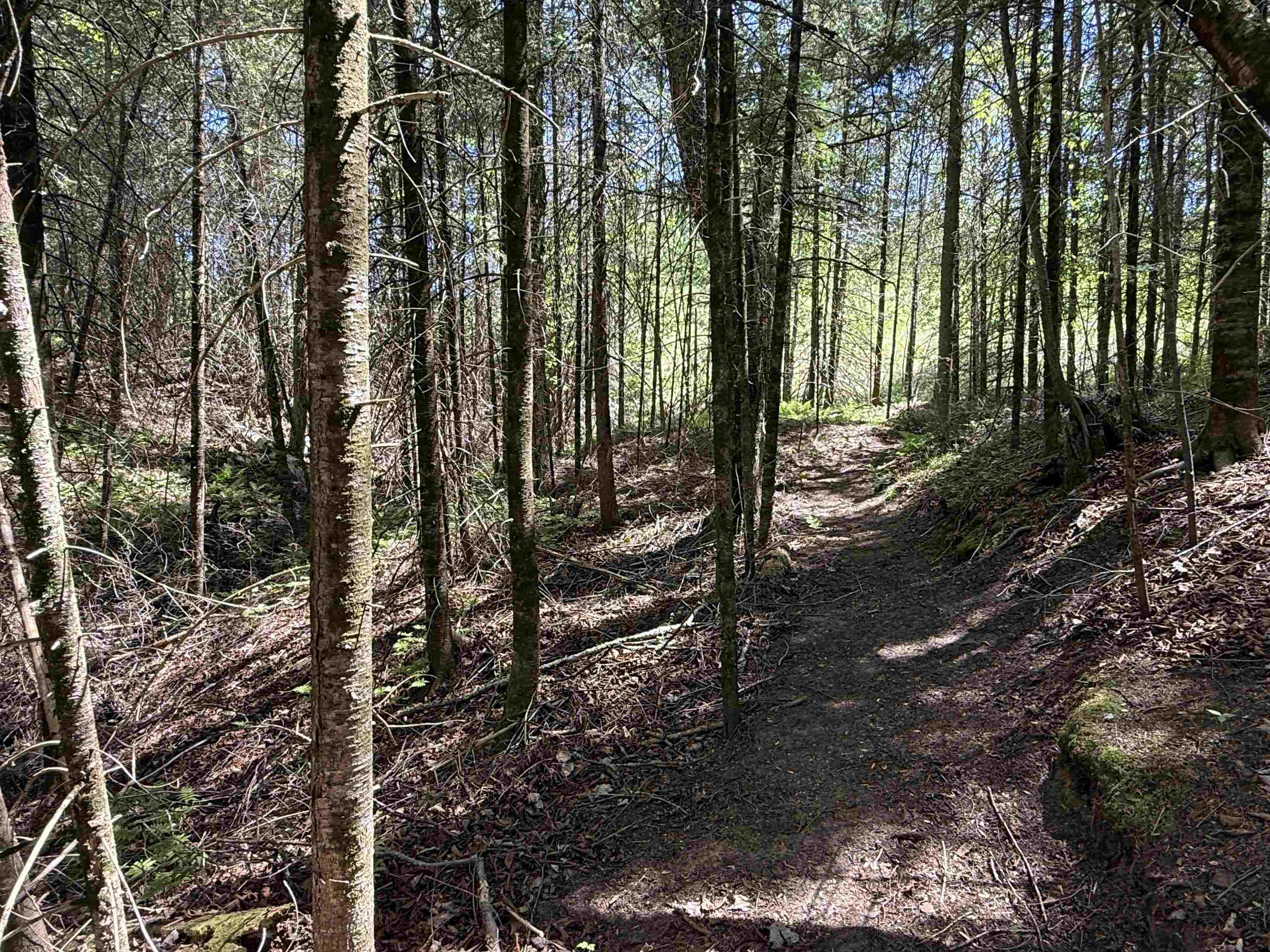 W9714 State Highway 70 Property Photo 40