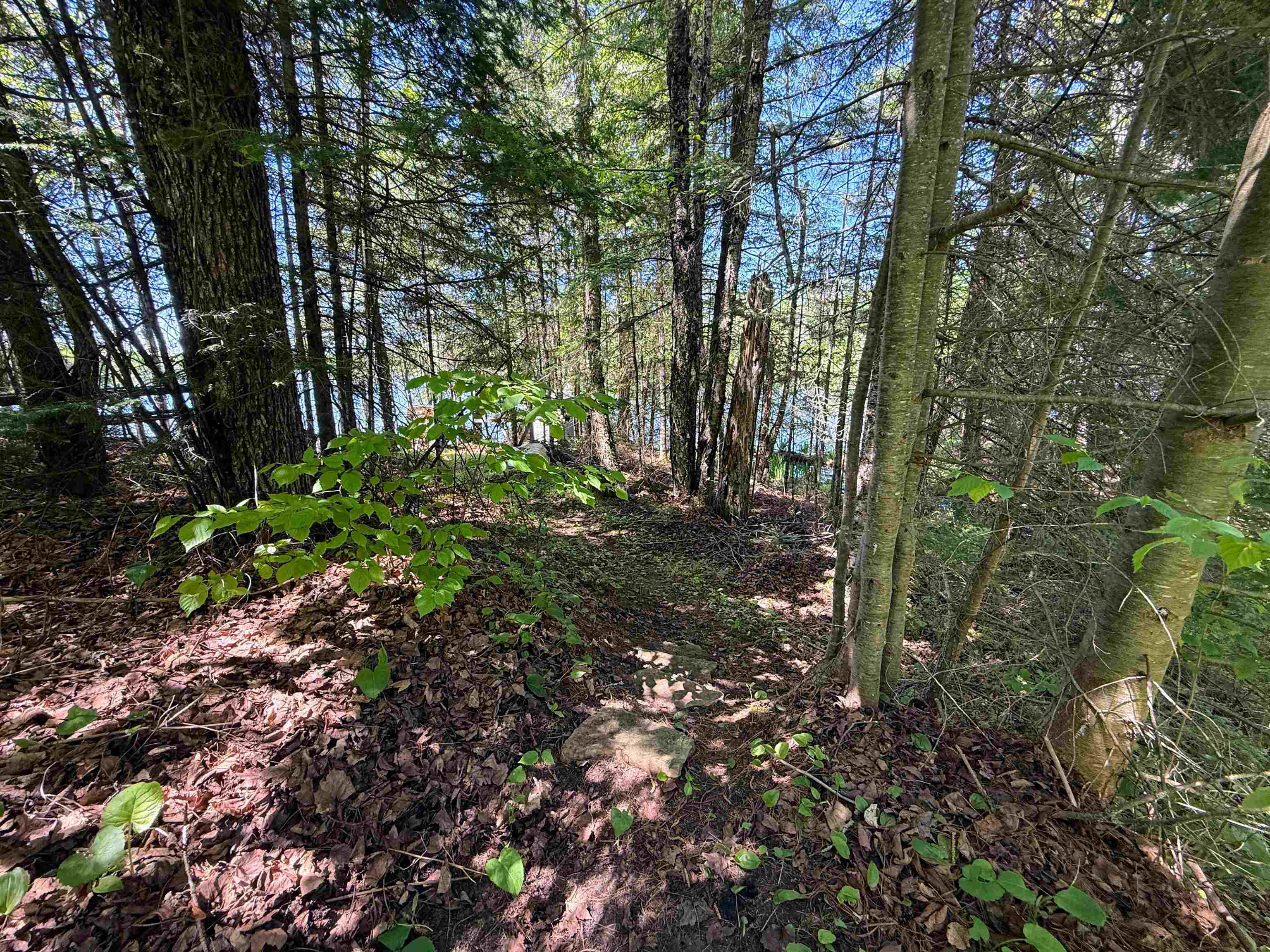 W9714 State Highway 70 Property Photo 41