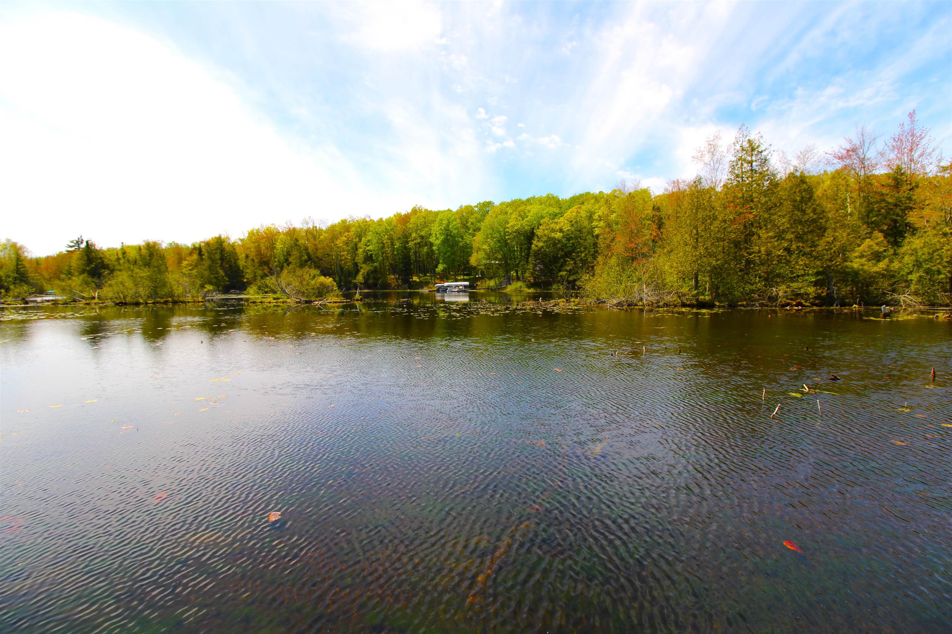 17903 Bluebird Lane Property Photo 26
