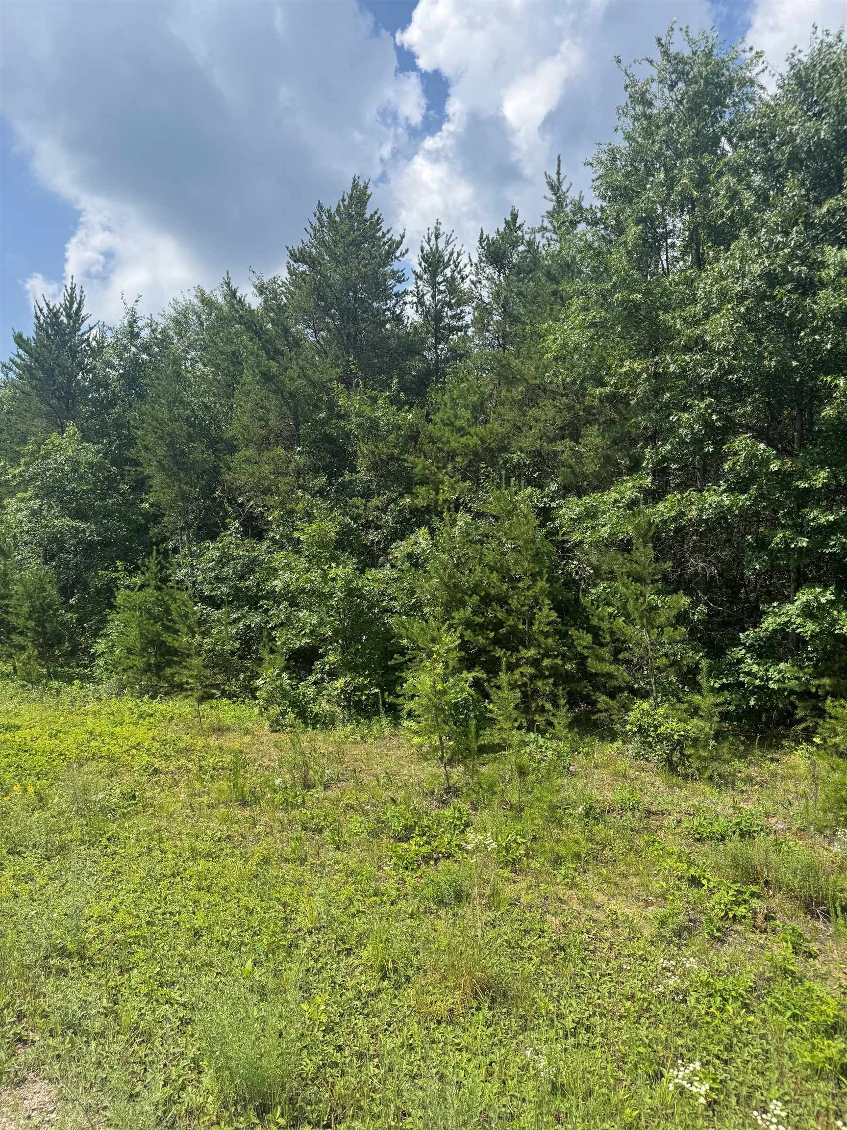 Lot 30 Red Tail Hawk Drive Property Photo 2