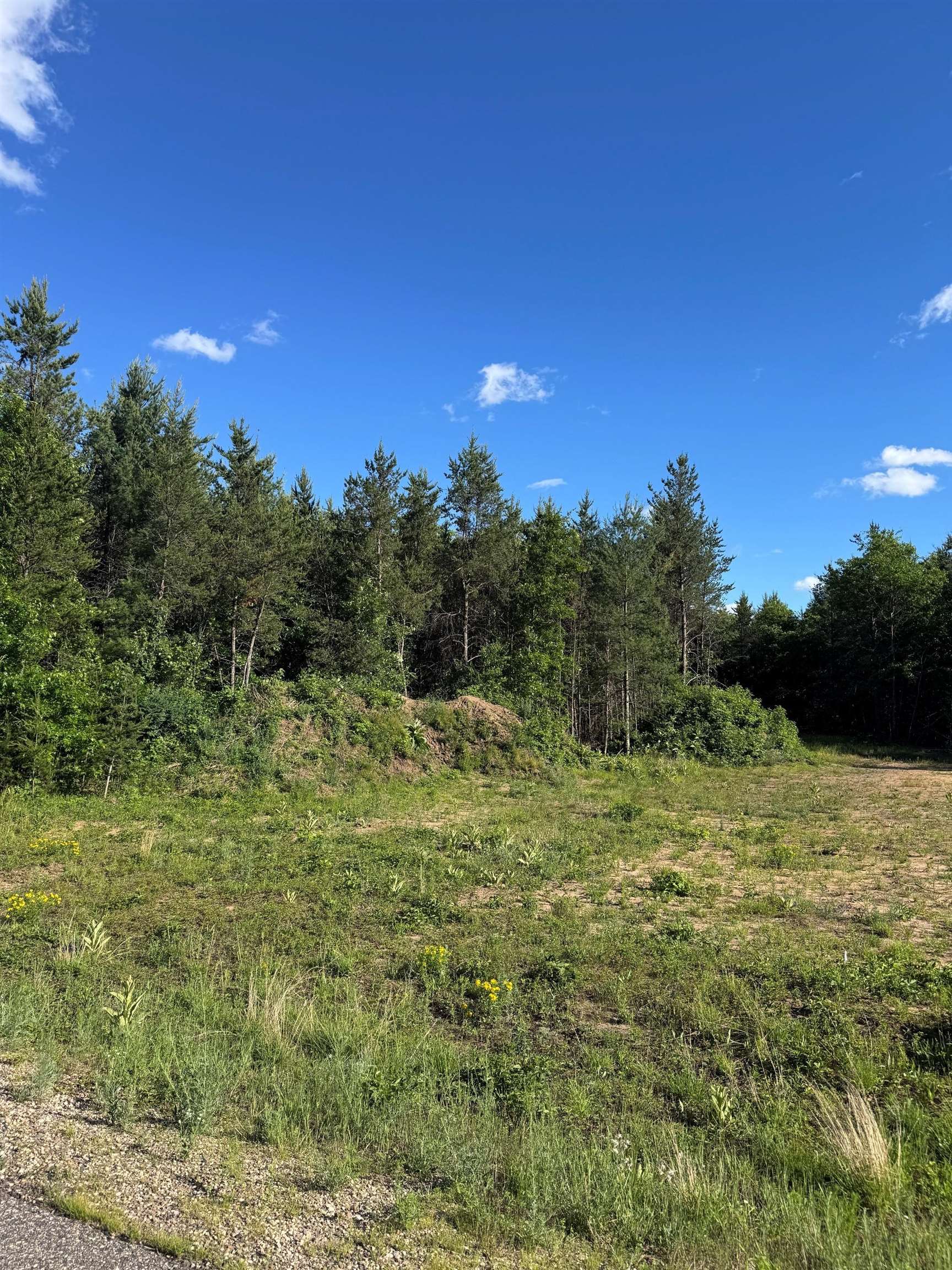 Lot 30 Red Tail Hawk Drive Property Photo 3