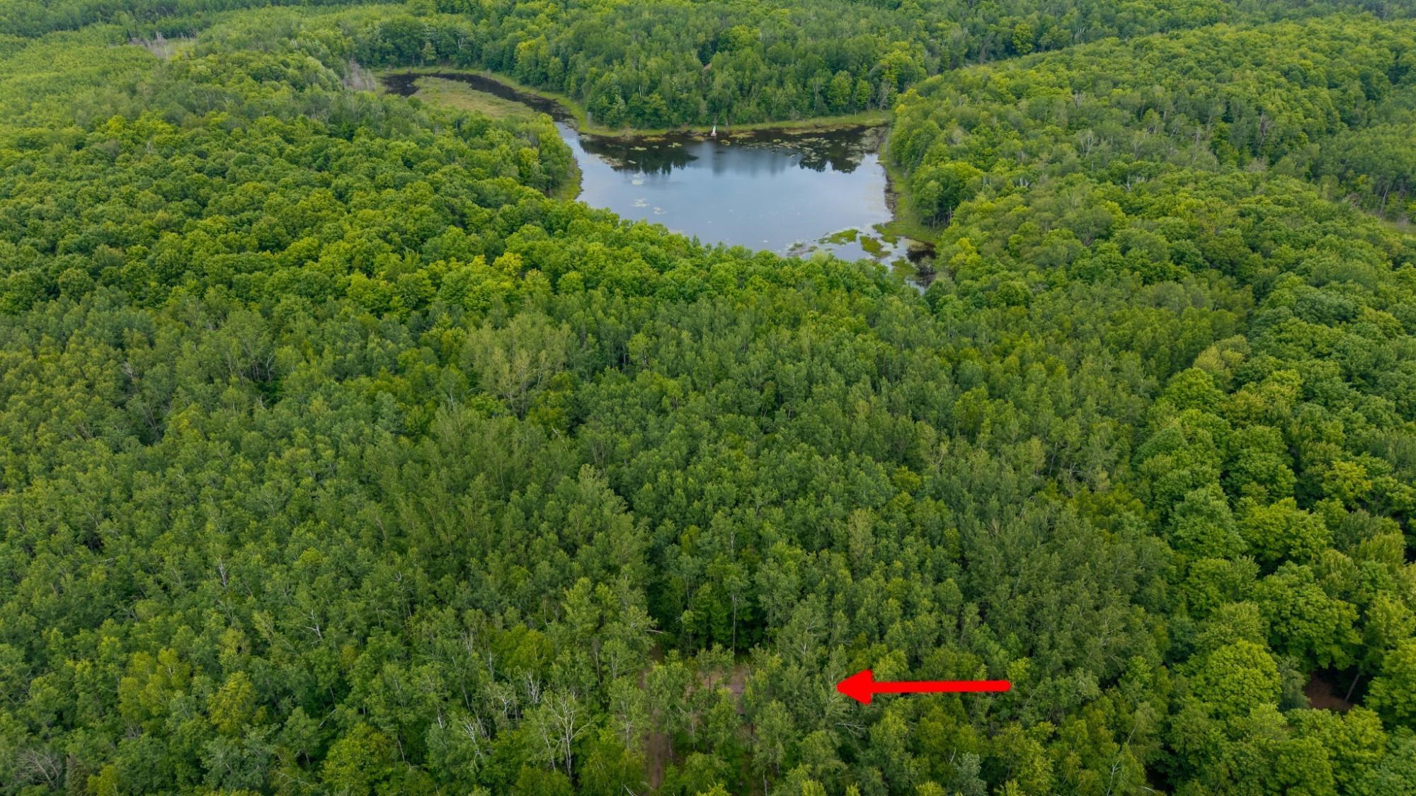 7552 Tee Lake Road Property Photo 39