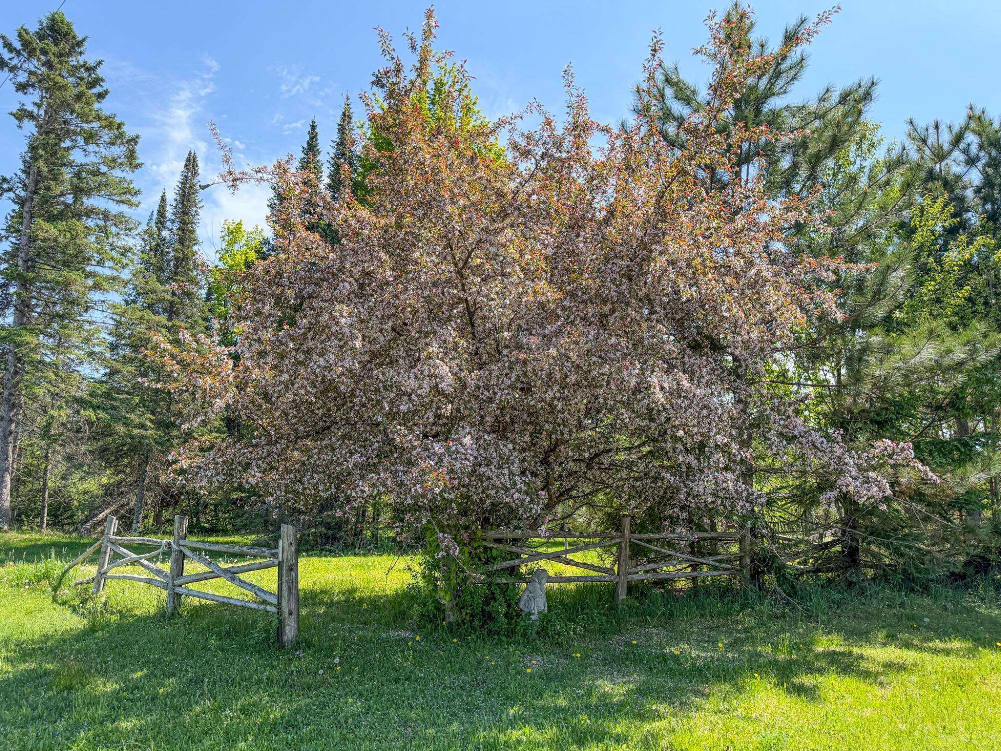 N9507 State Highway 13 Property Photo 59