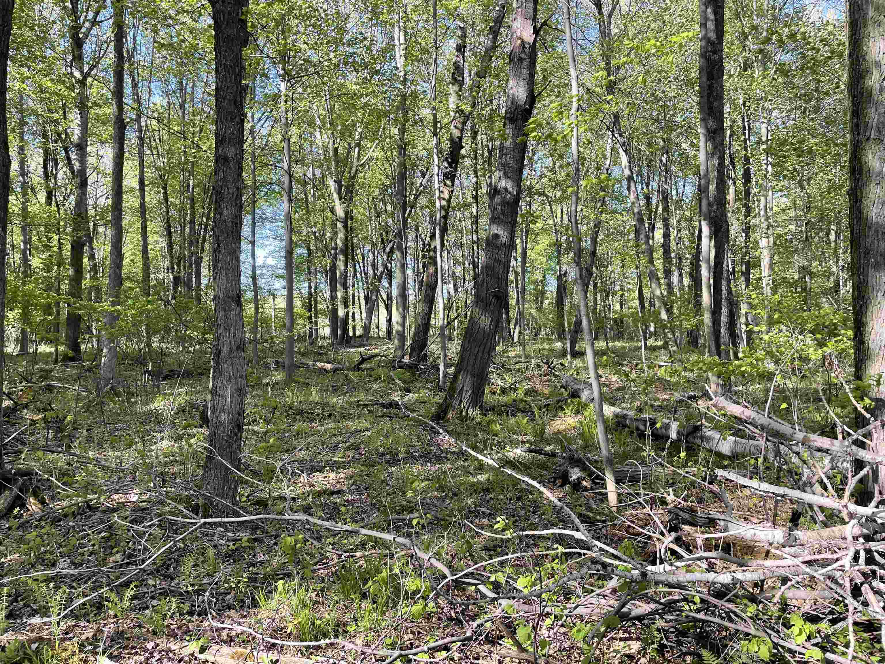 10773 County Road K Property Photo 4