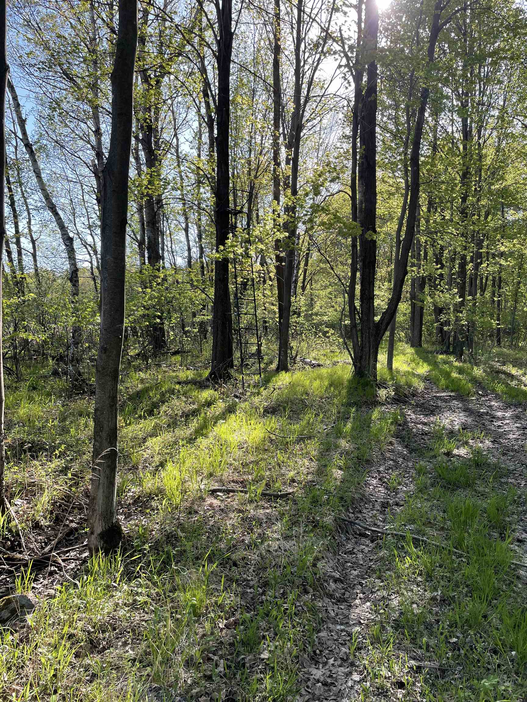 10773 County Road K Property Photo 5