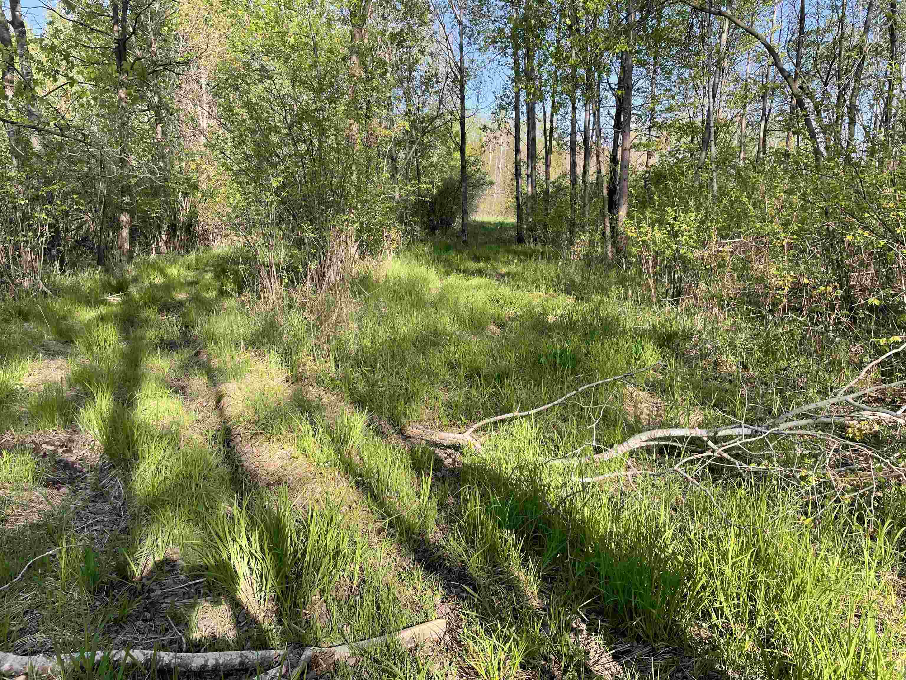 10773 County Road K Property Photo 7