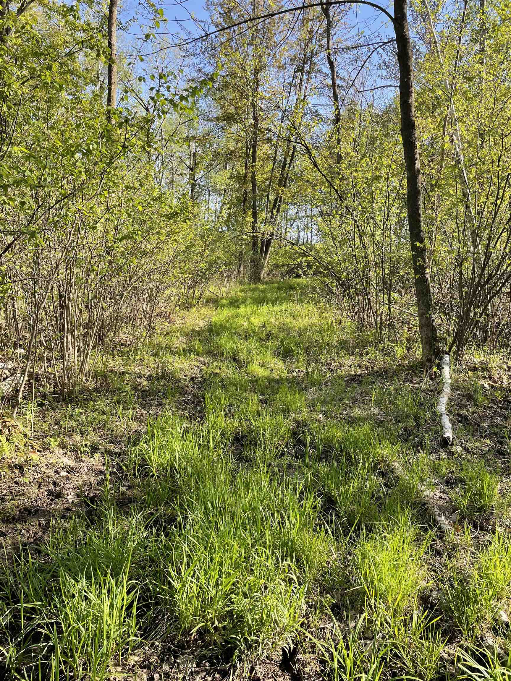 10773 County Road K Property Photo 8