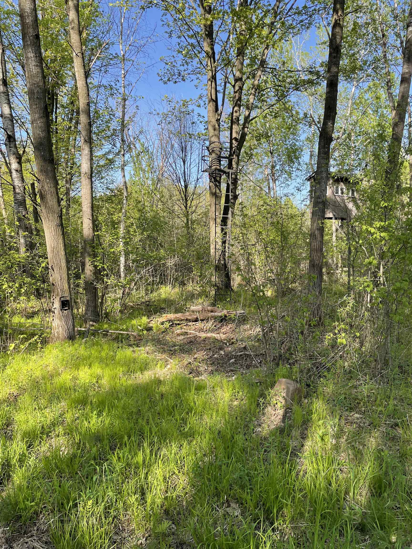 10773 County Road K Property Photo 9