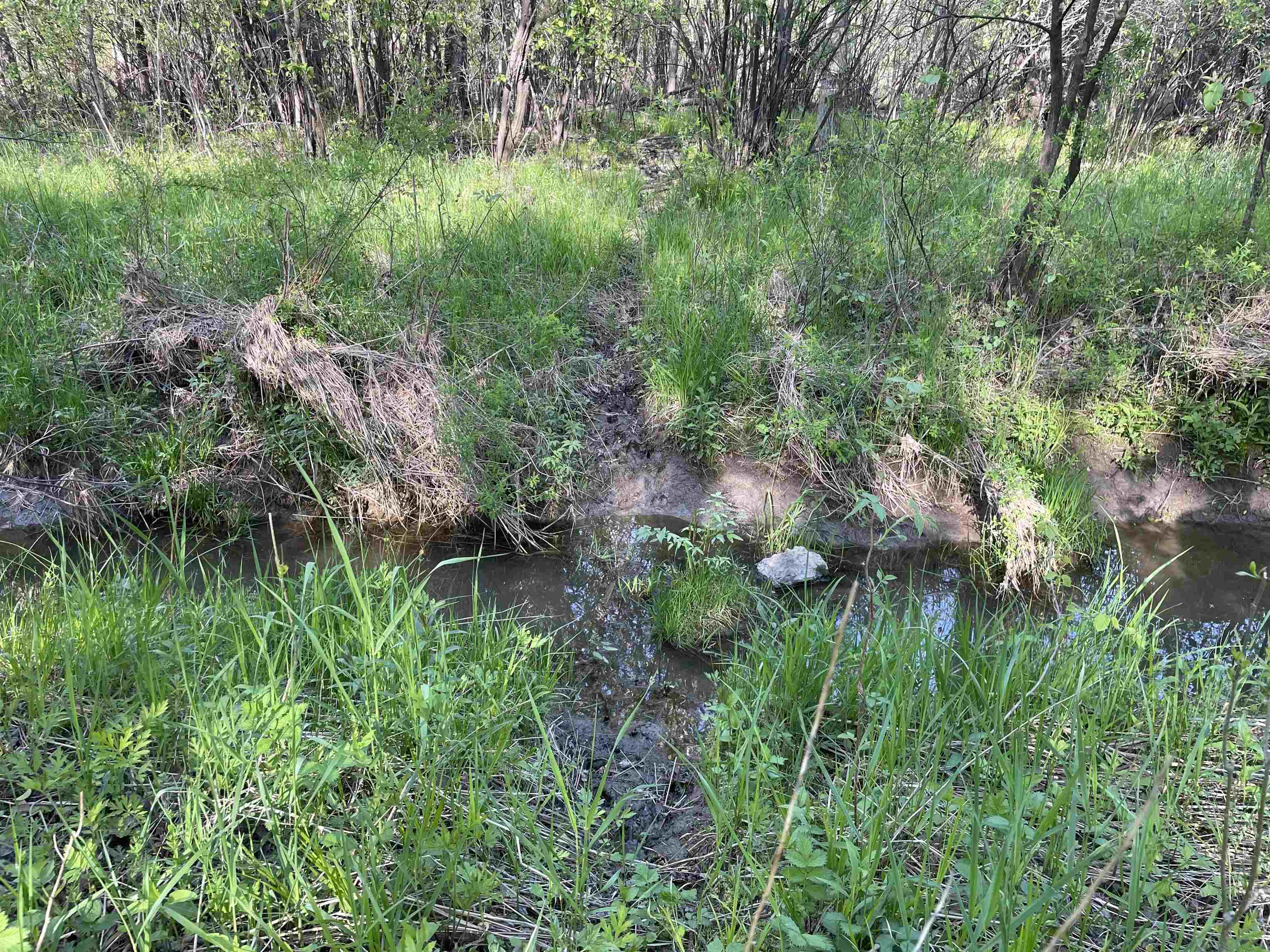 10773 County Road K Property Photo 10