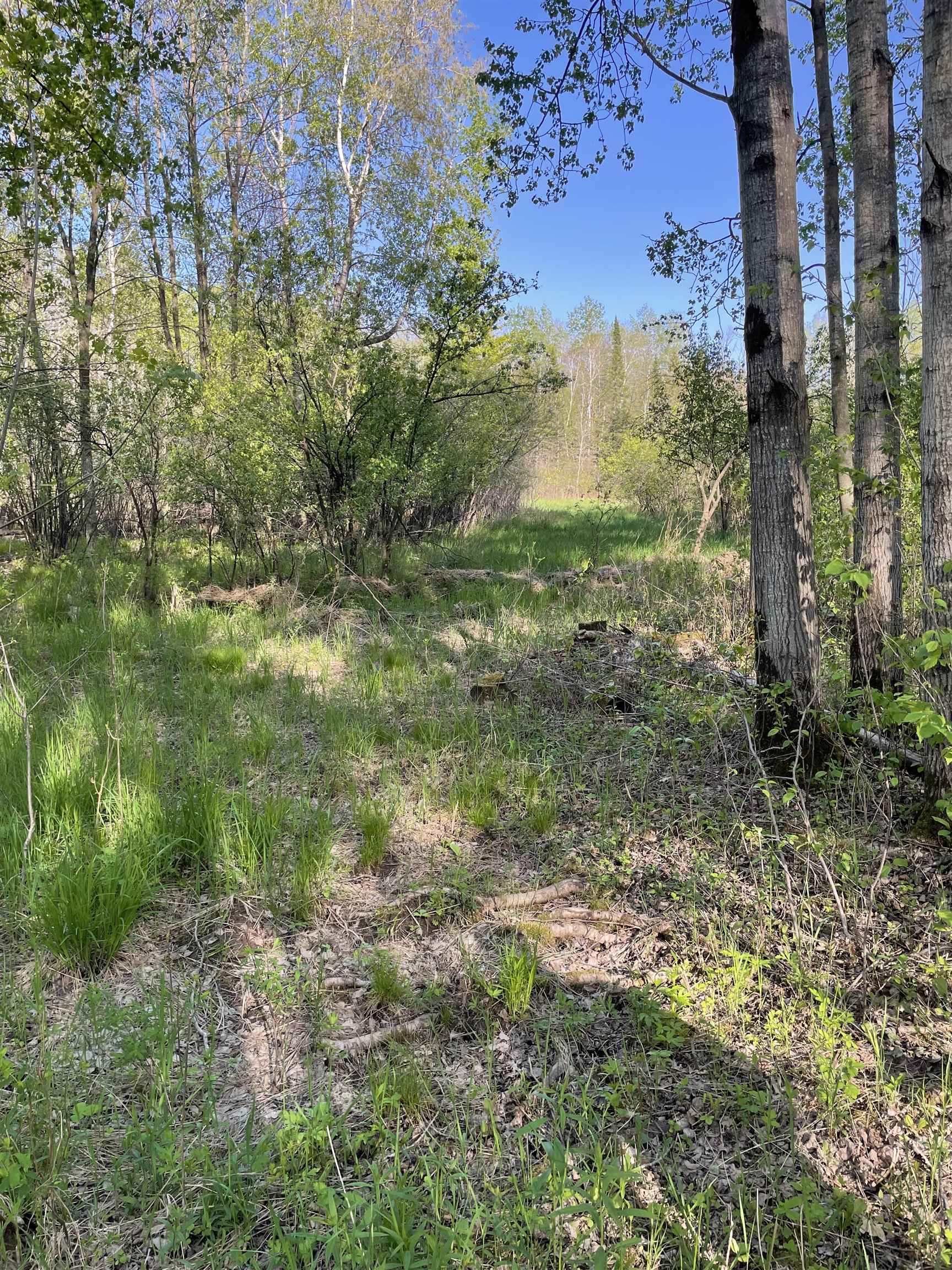 10773 County Road K Property Photo 12