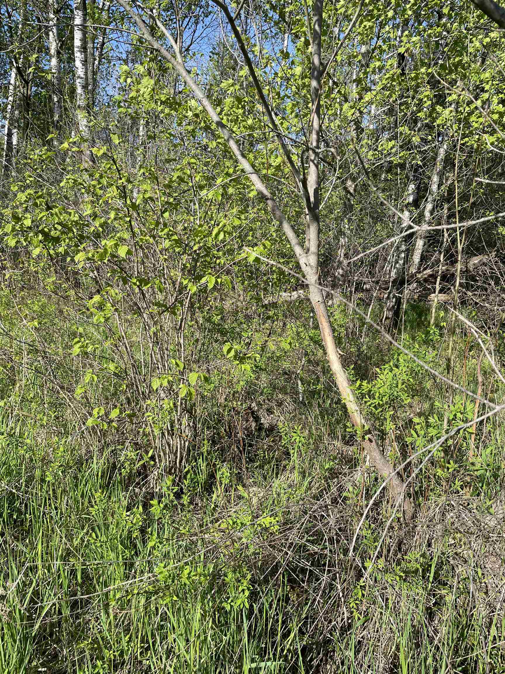 10773 County Road K Property Photo 16