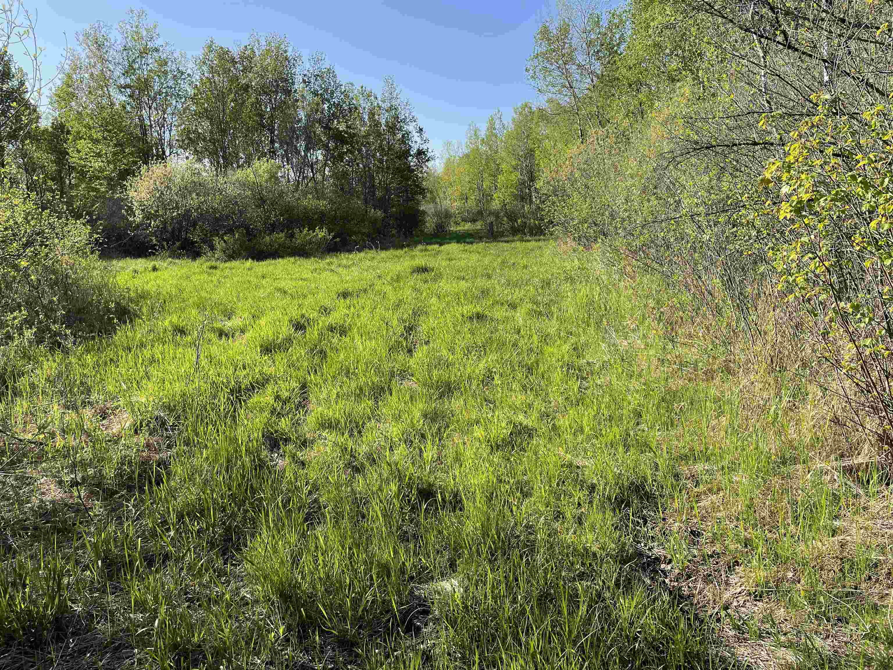 10773 County Road K Property Photo 17