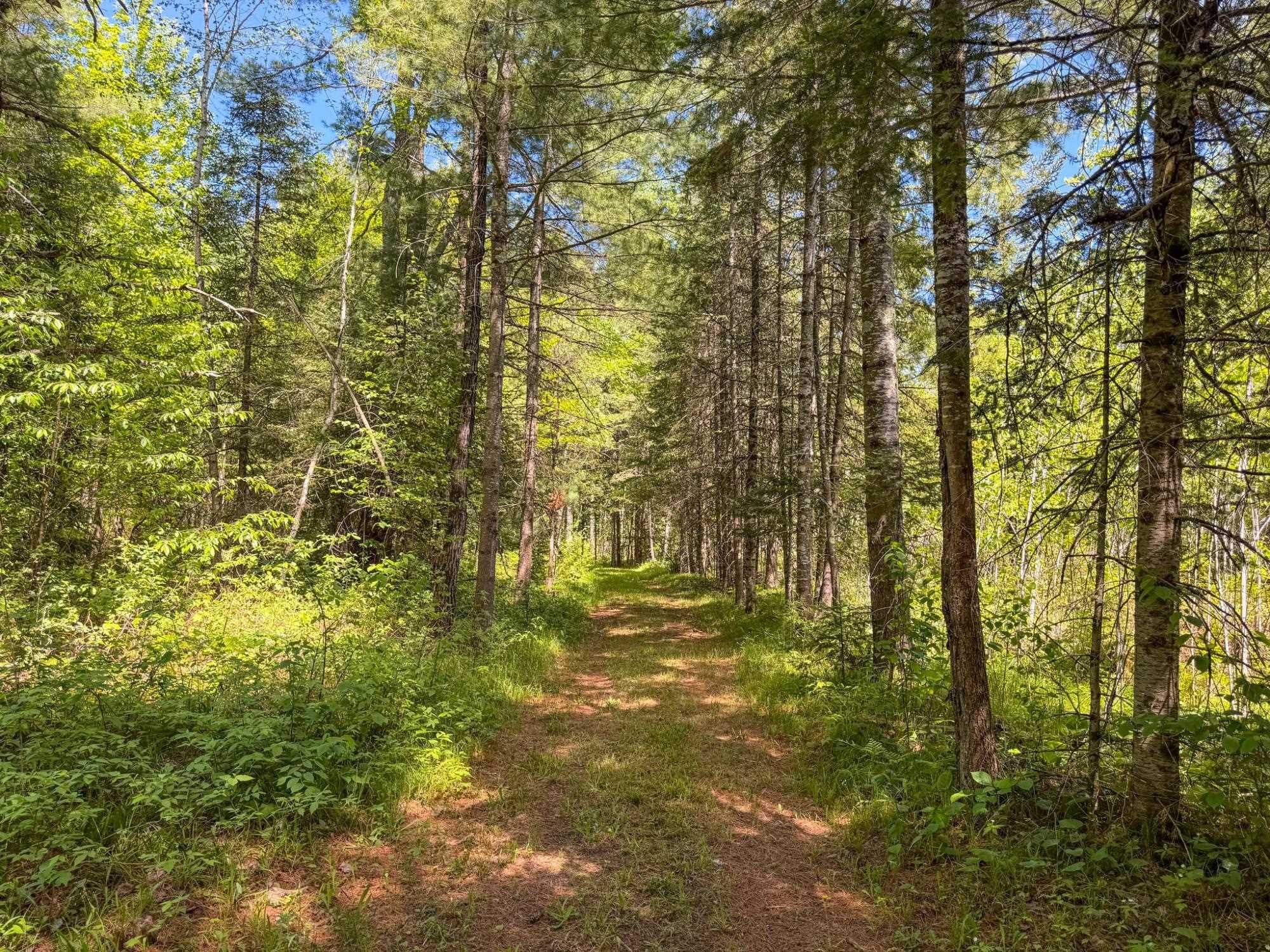 N12226 State Highway 13 Property Photo 5