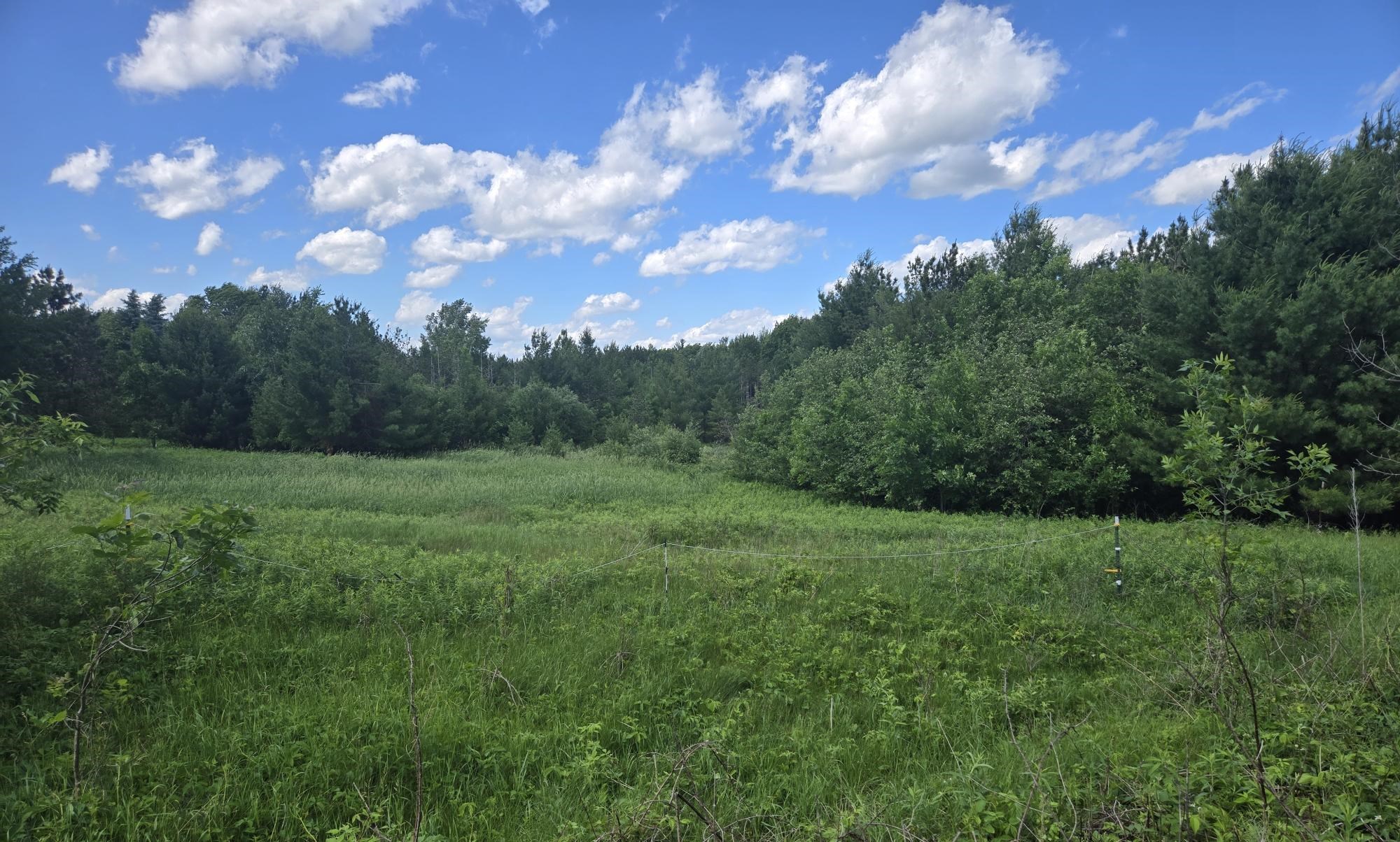 402 Granite Ridge Road West Property Photo 53