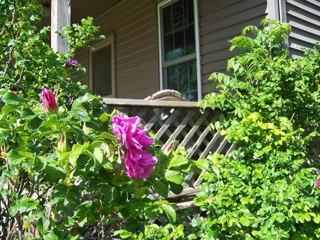 208 S West Street Property Photo 26