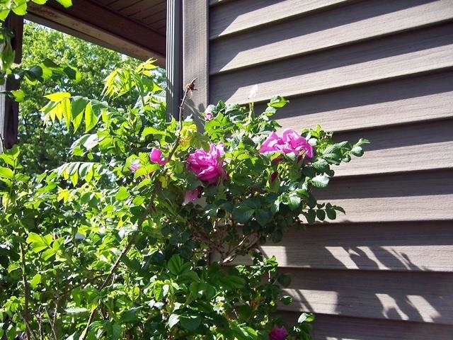 208 S West Street Property Photo 28