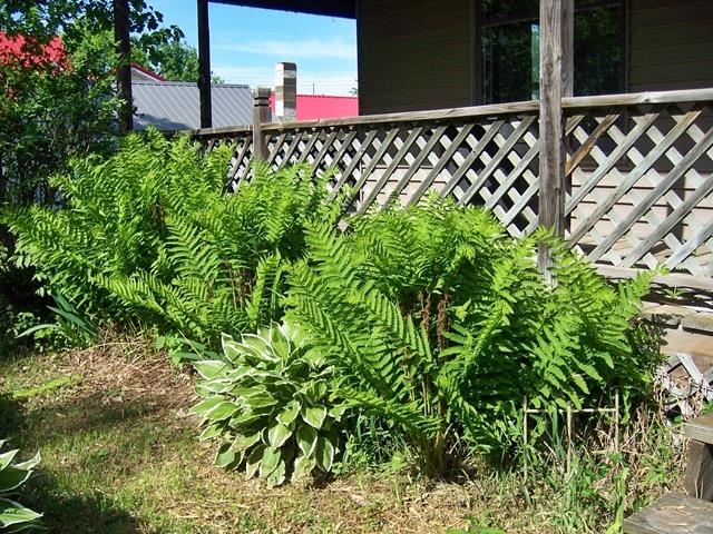 208 S West Street Property Photo 31