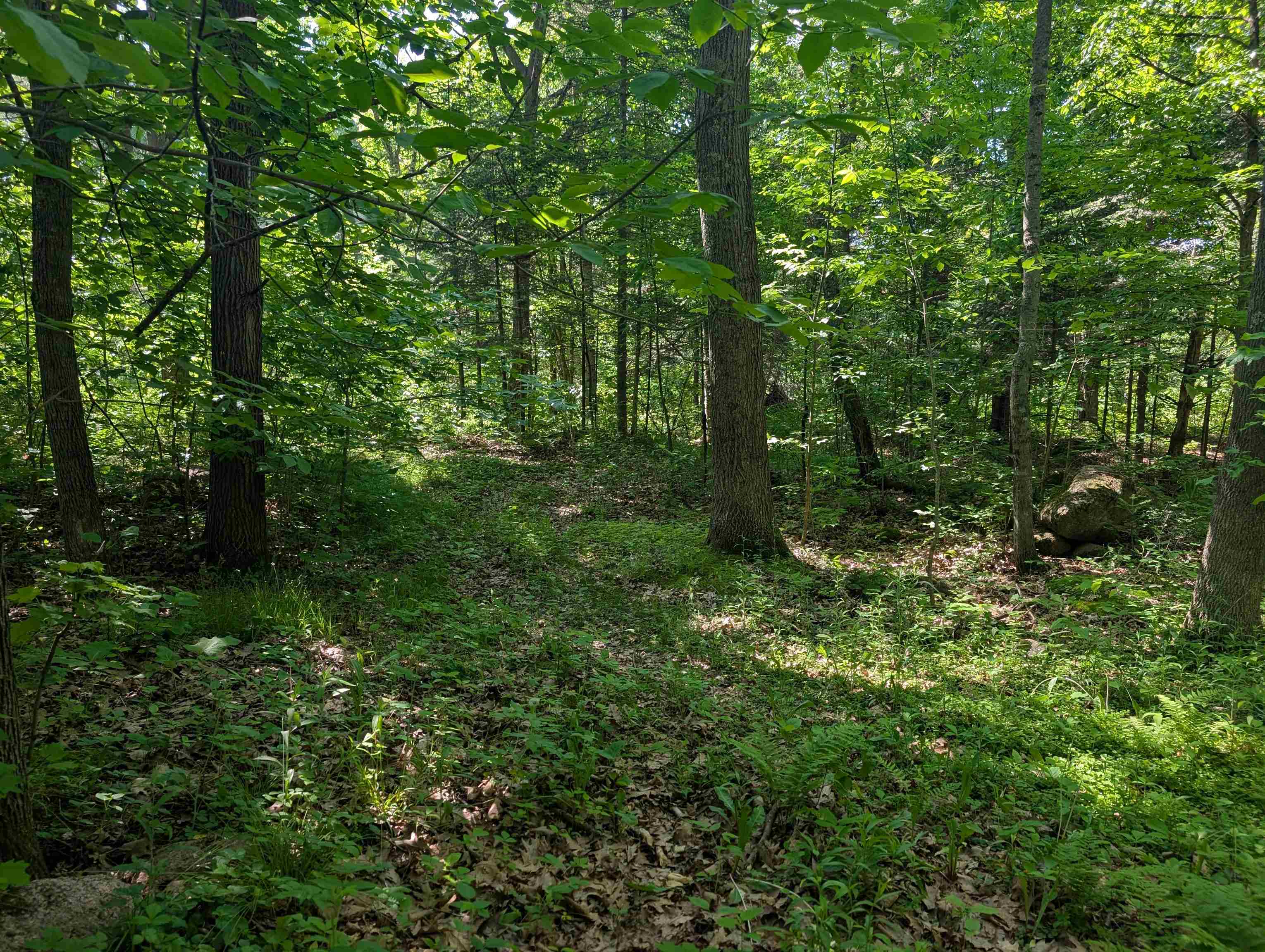 222814 Hidden Valley Road Property Photo 50