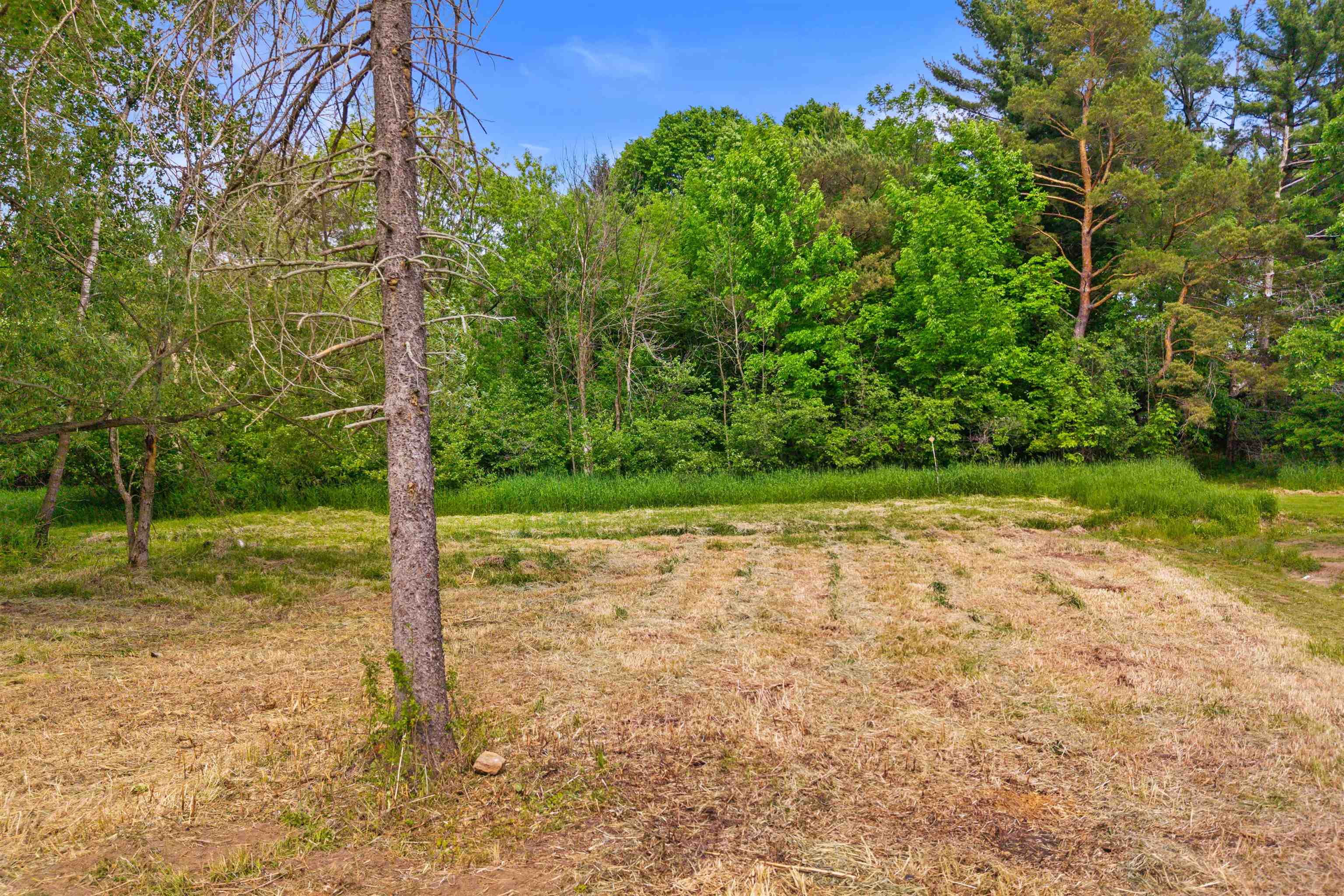 0.44 Acre Lot Maple Street Property Photo 12