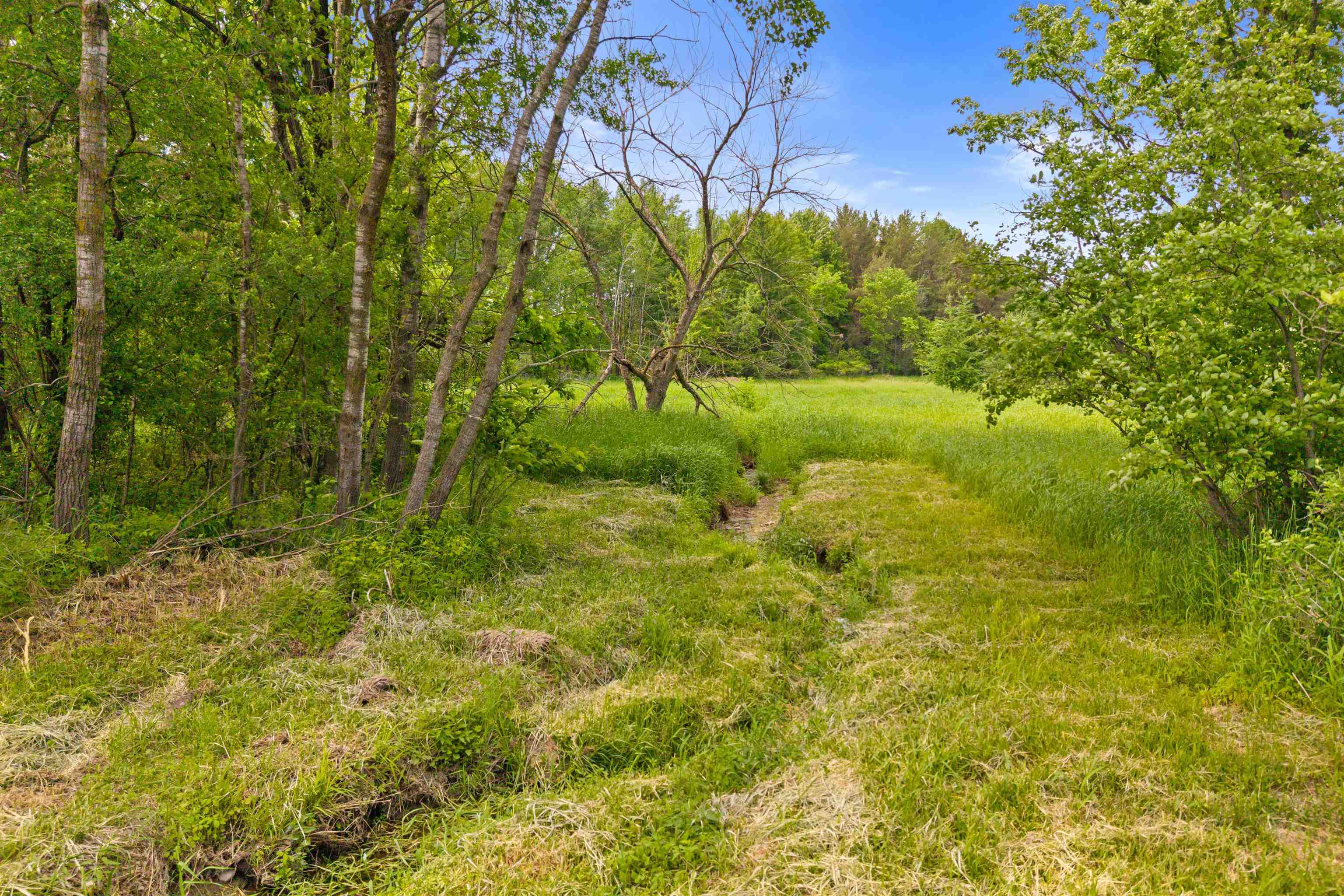 0.44 Acre Lot Maple Street Property Photo 14