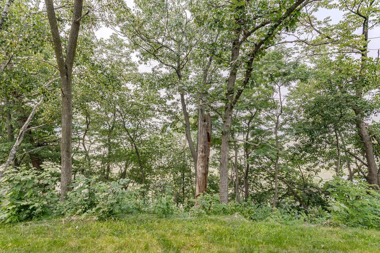 1398 Park Drive Property Photo 41