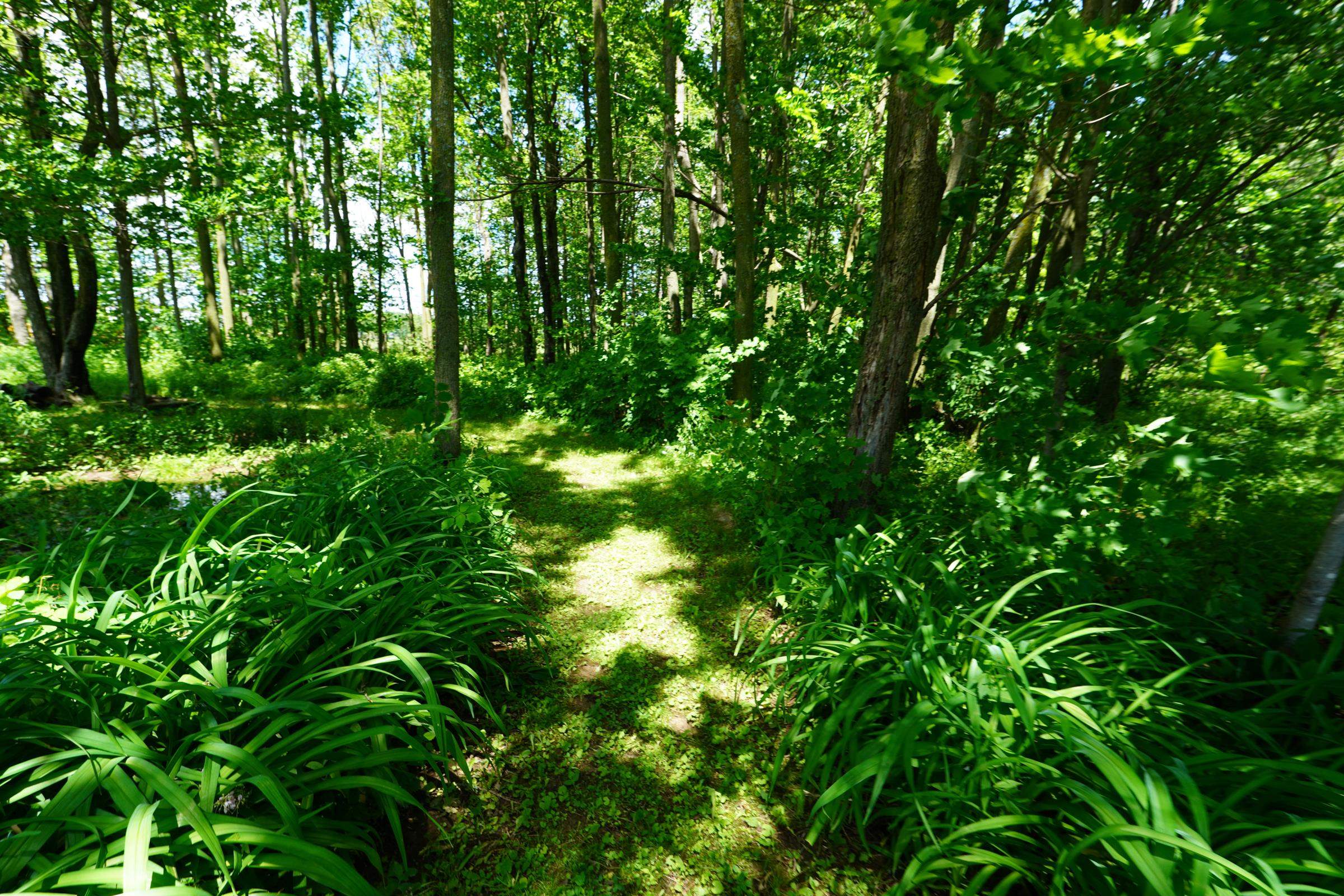 W1364 State Highway 64 Property Photo 26