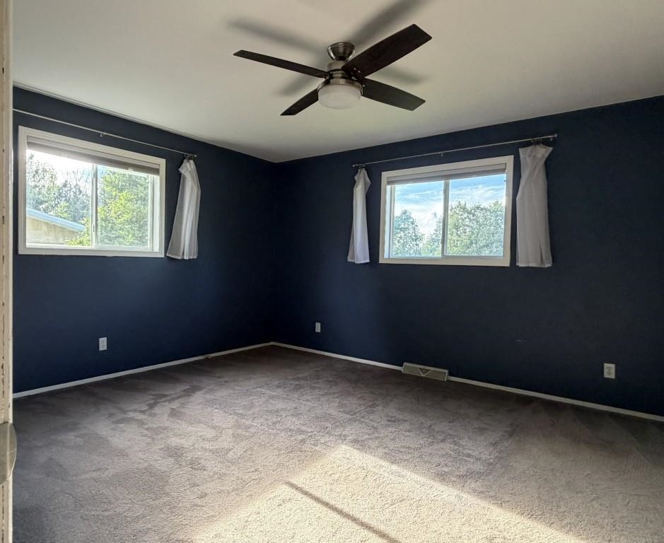 1509 Mcindoe Court Property Photo 14