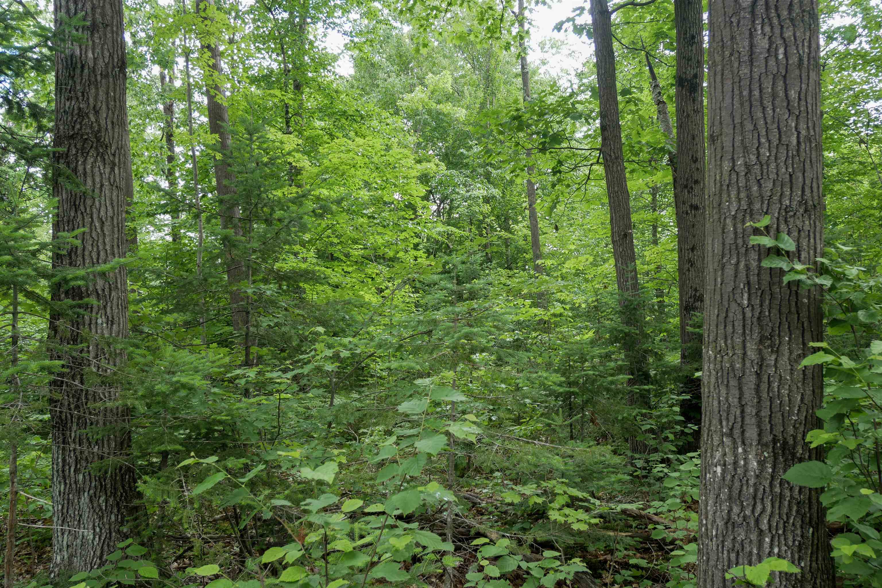 W2175 County Road M Property Photo 25