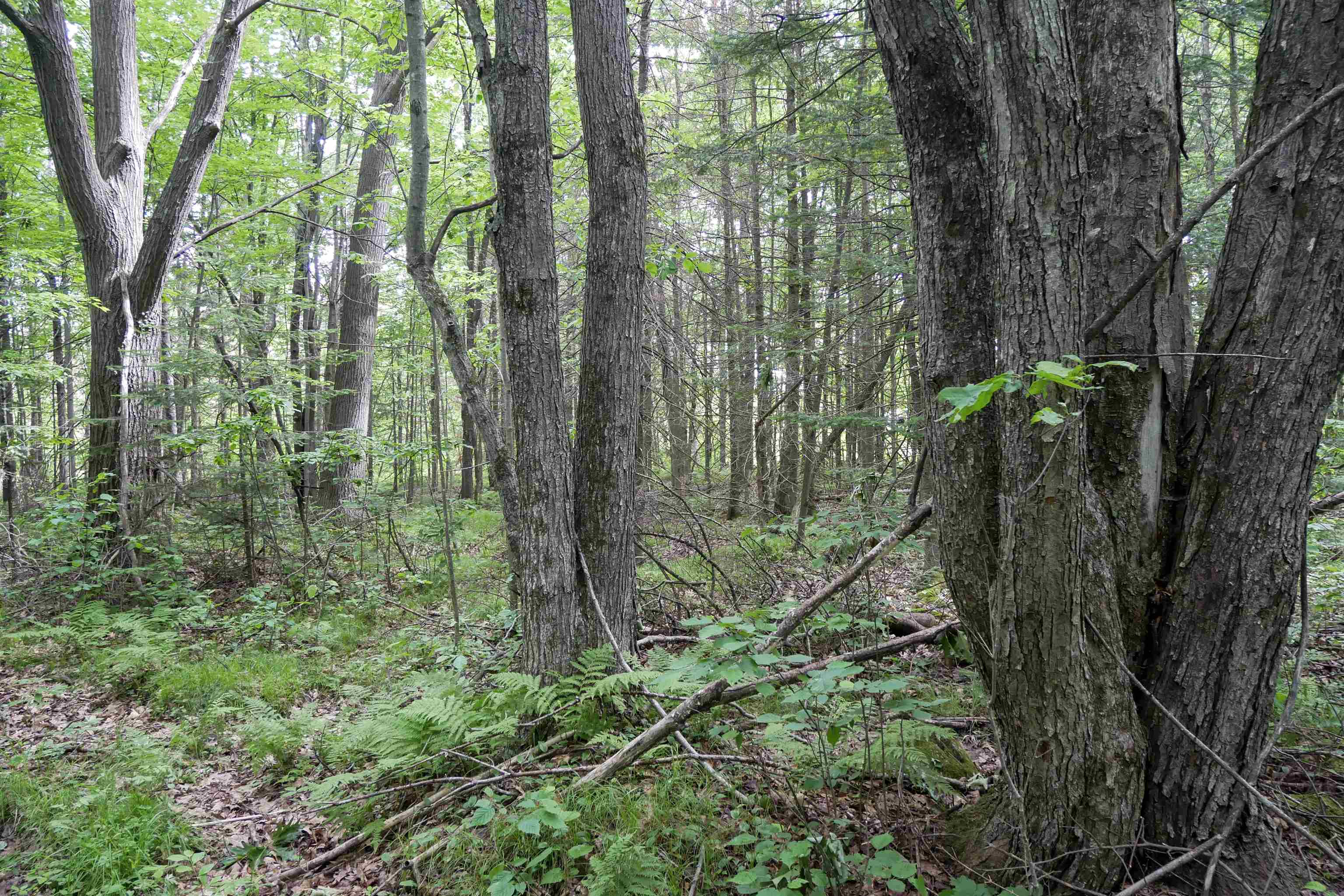 W2175 County Road M Property Photo 27
