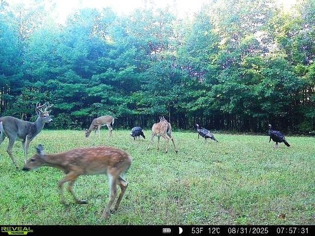 W7512 Poertner Road Property Photo 22