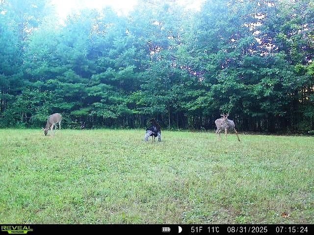 W7512 Poertner Road Property Photo 24