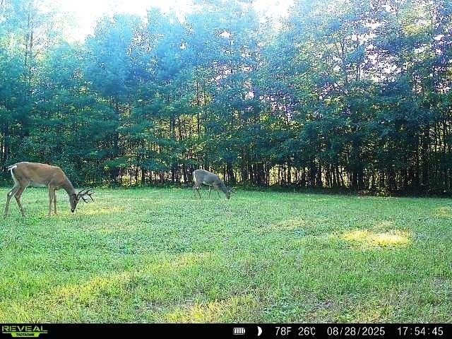 W7512 Poertner Road Property Photo 25