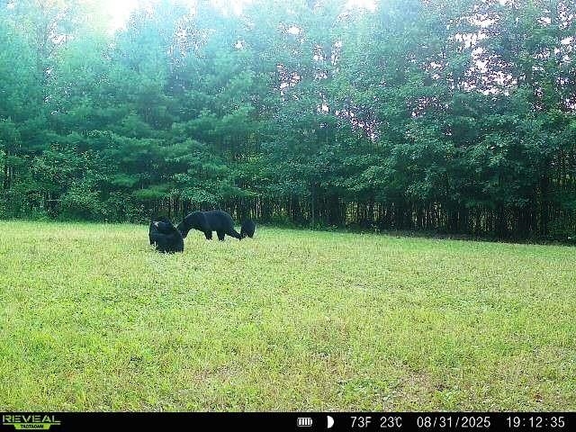 W7512 Poertner Road Property Photo 26