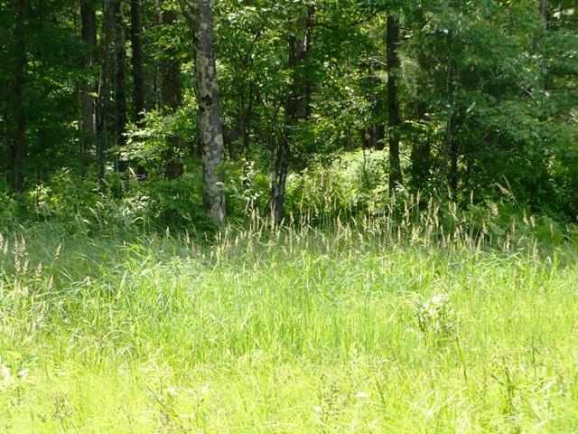 W7512 Poertner Road Property Photo 34