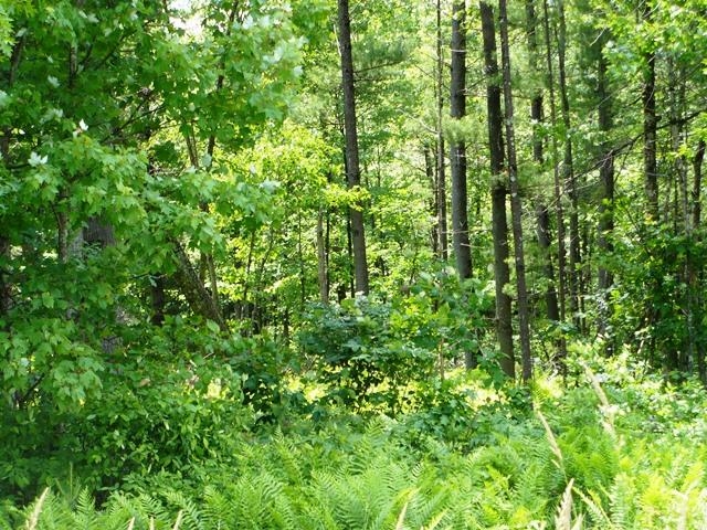 W7512 Poertner Road Property Photo 36