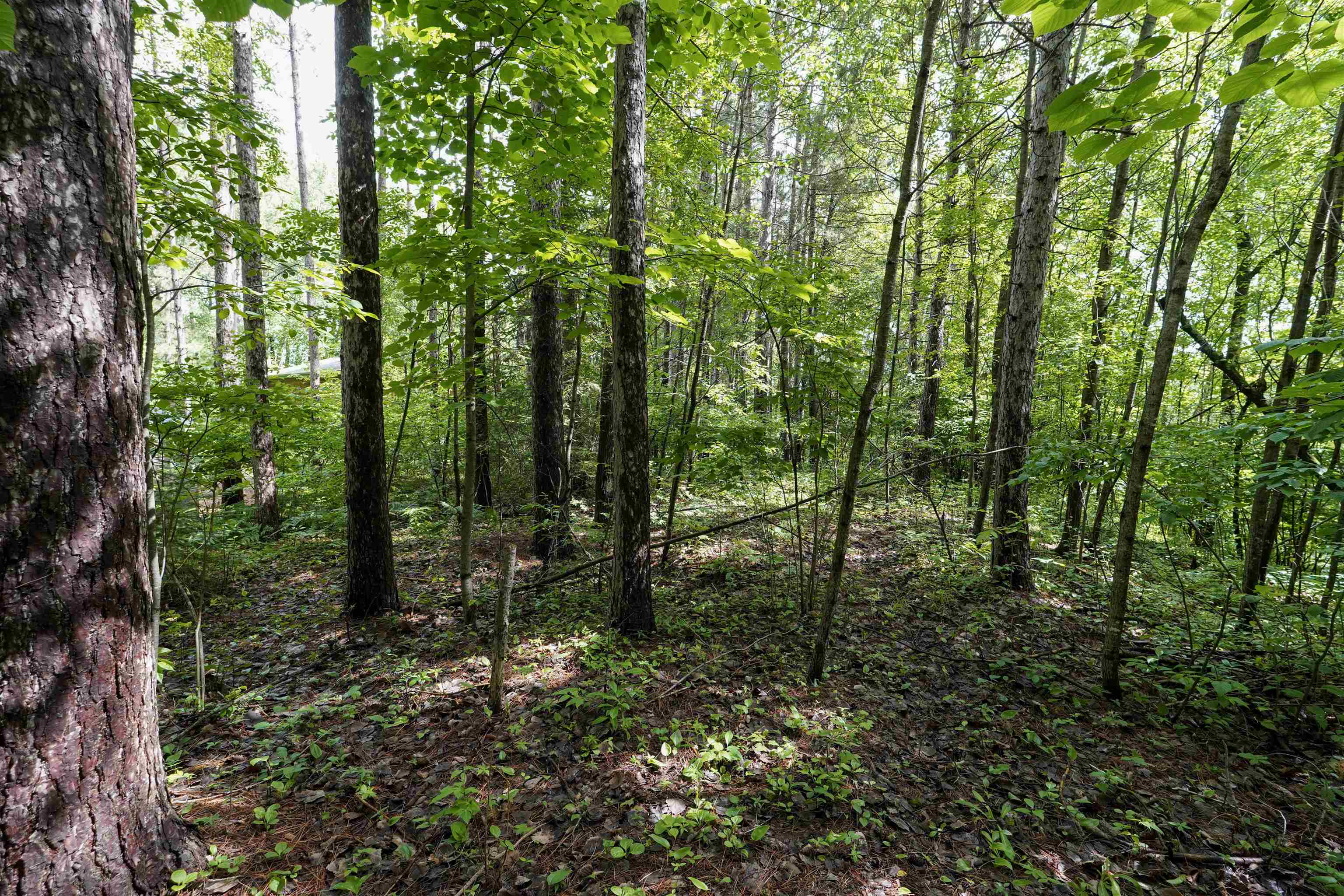 N4568 Mall Lane Property Photo 14