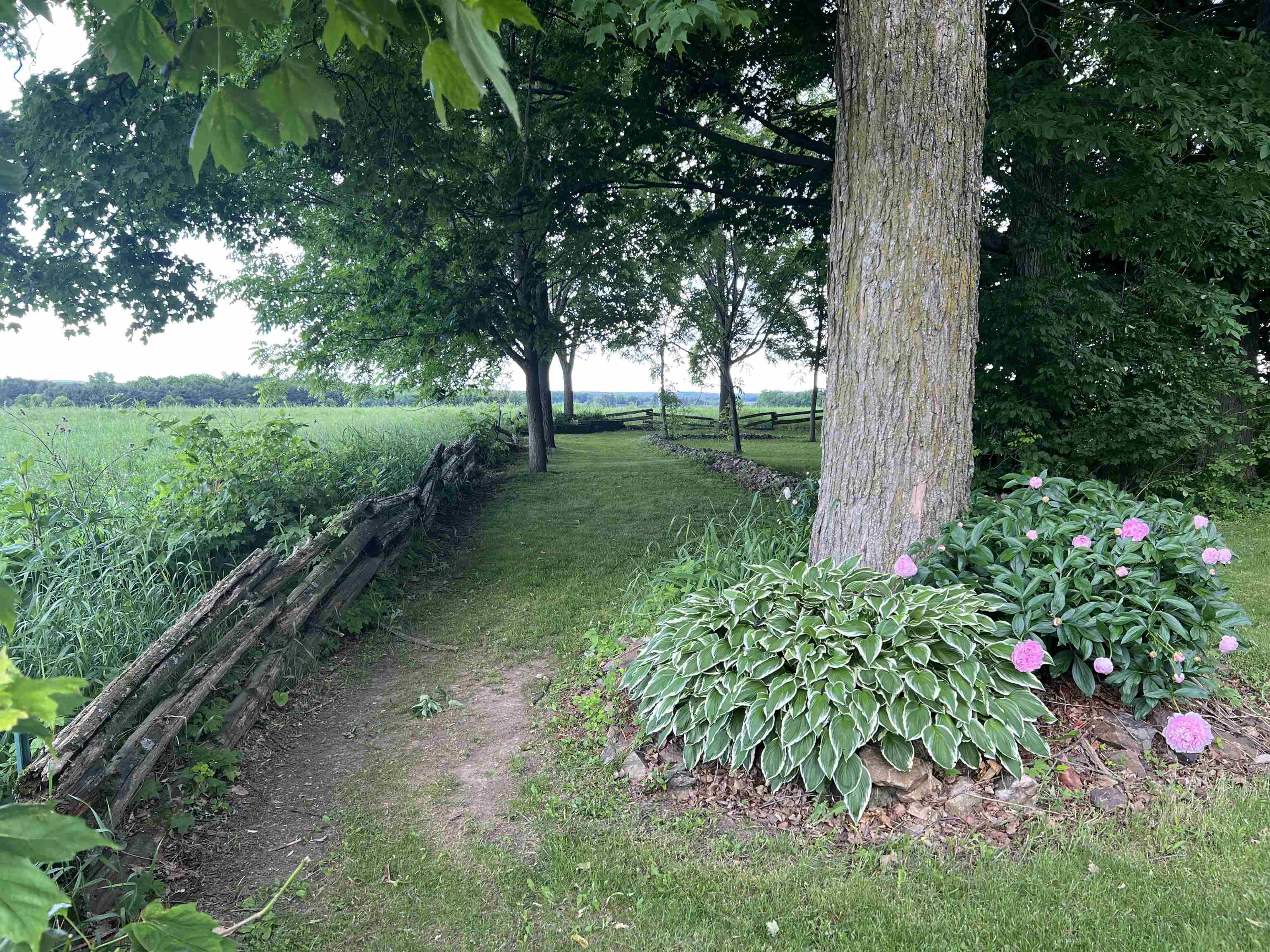 130403 County Road C Property Photo 39